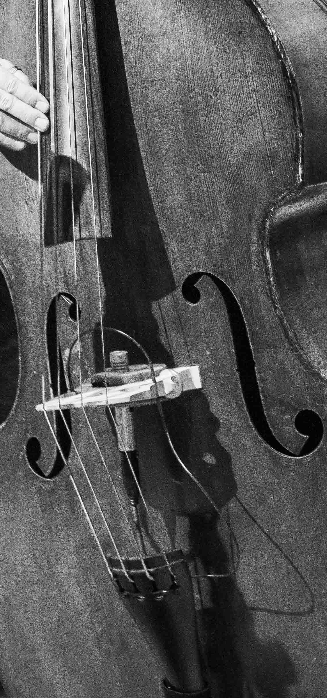 BassCloseUp-ShowsPage.jpg