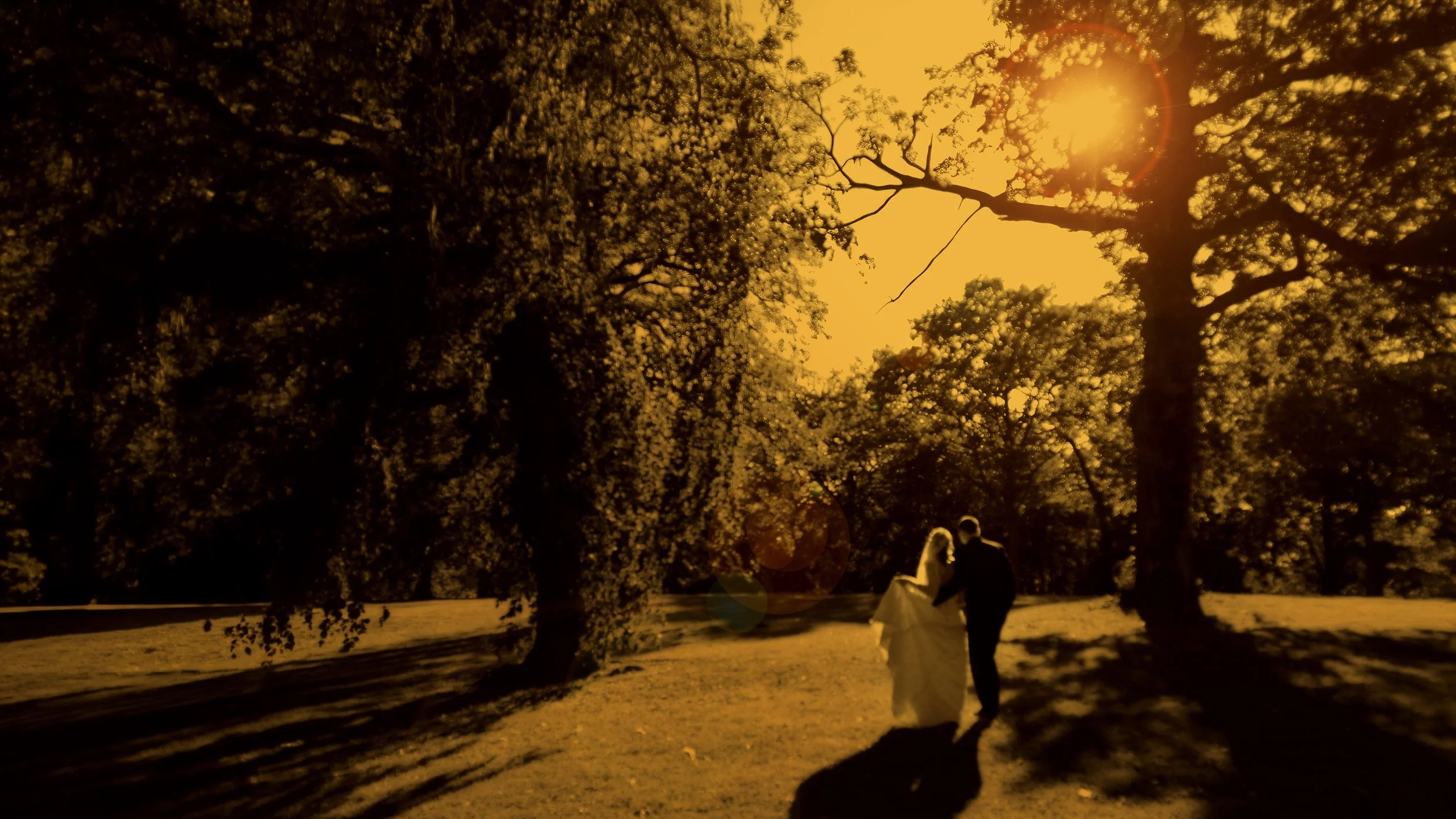 Bride and groom walking the grounds of Glen Island Park as late day sun filters through the trees