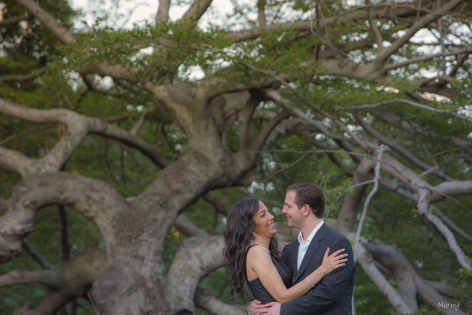 Central Park Engagement Portraits.jpg