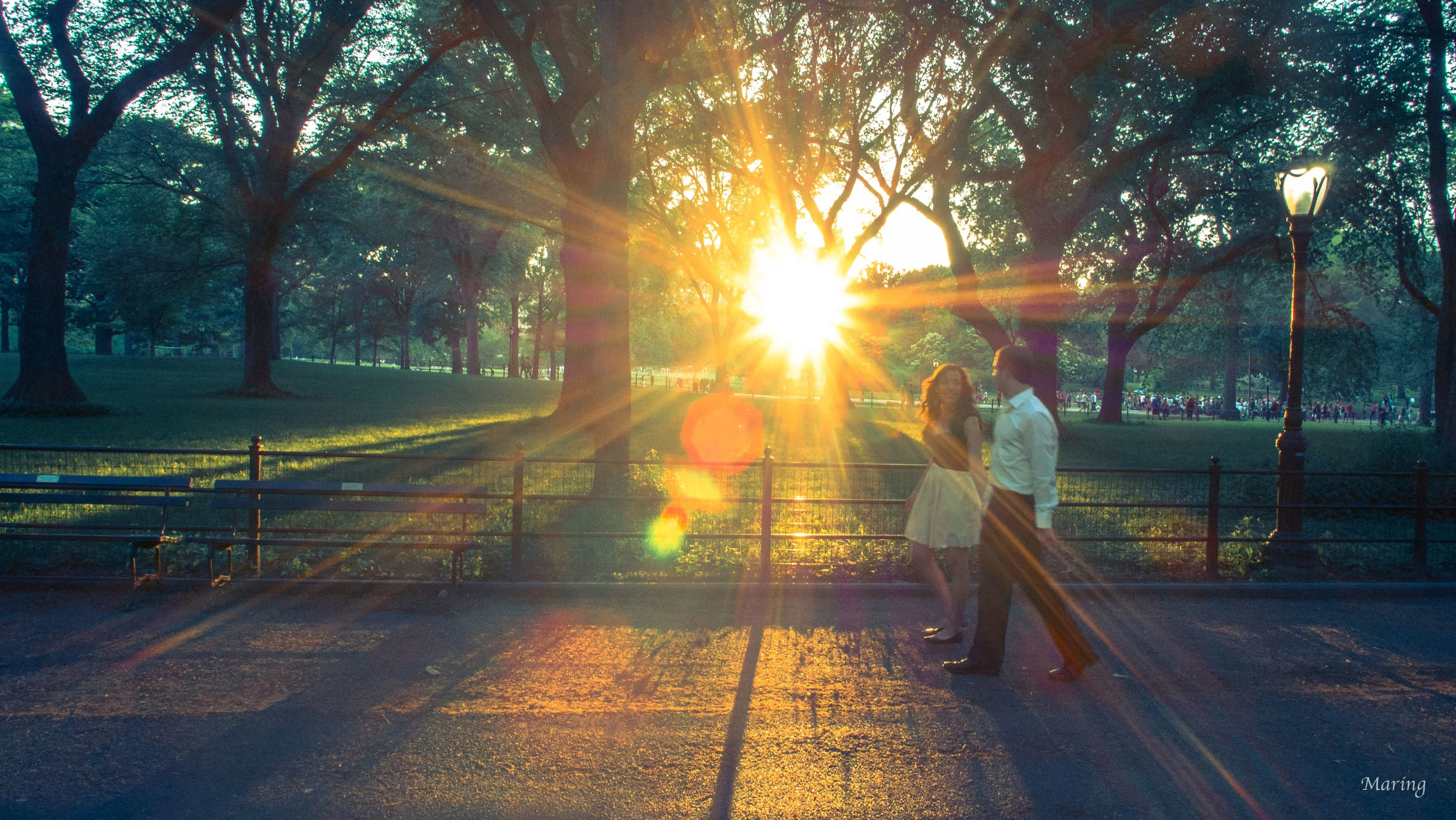 Central Park Promenade Portraits.jpg