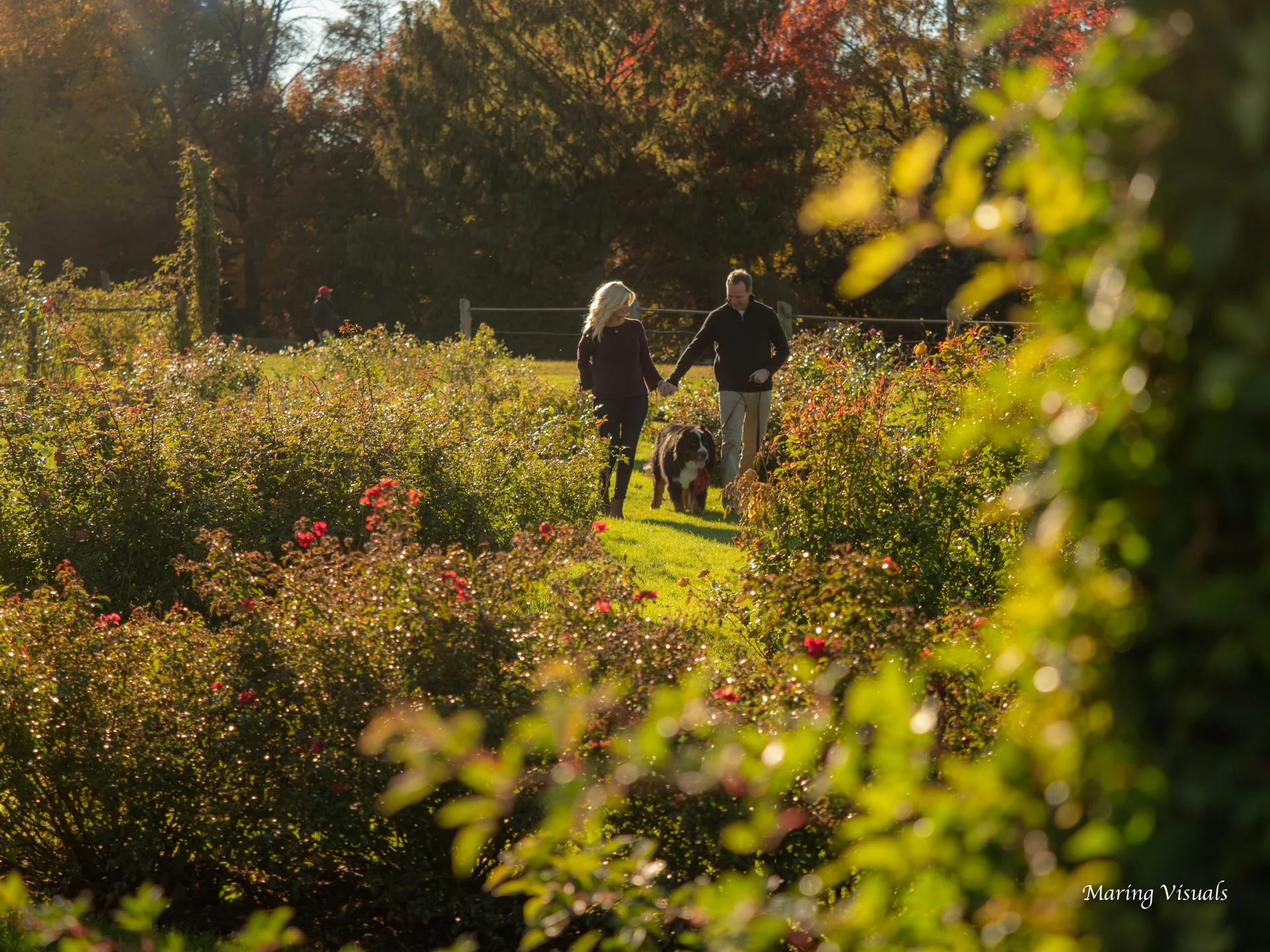 Couples Portraits in Elizabeth Park
