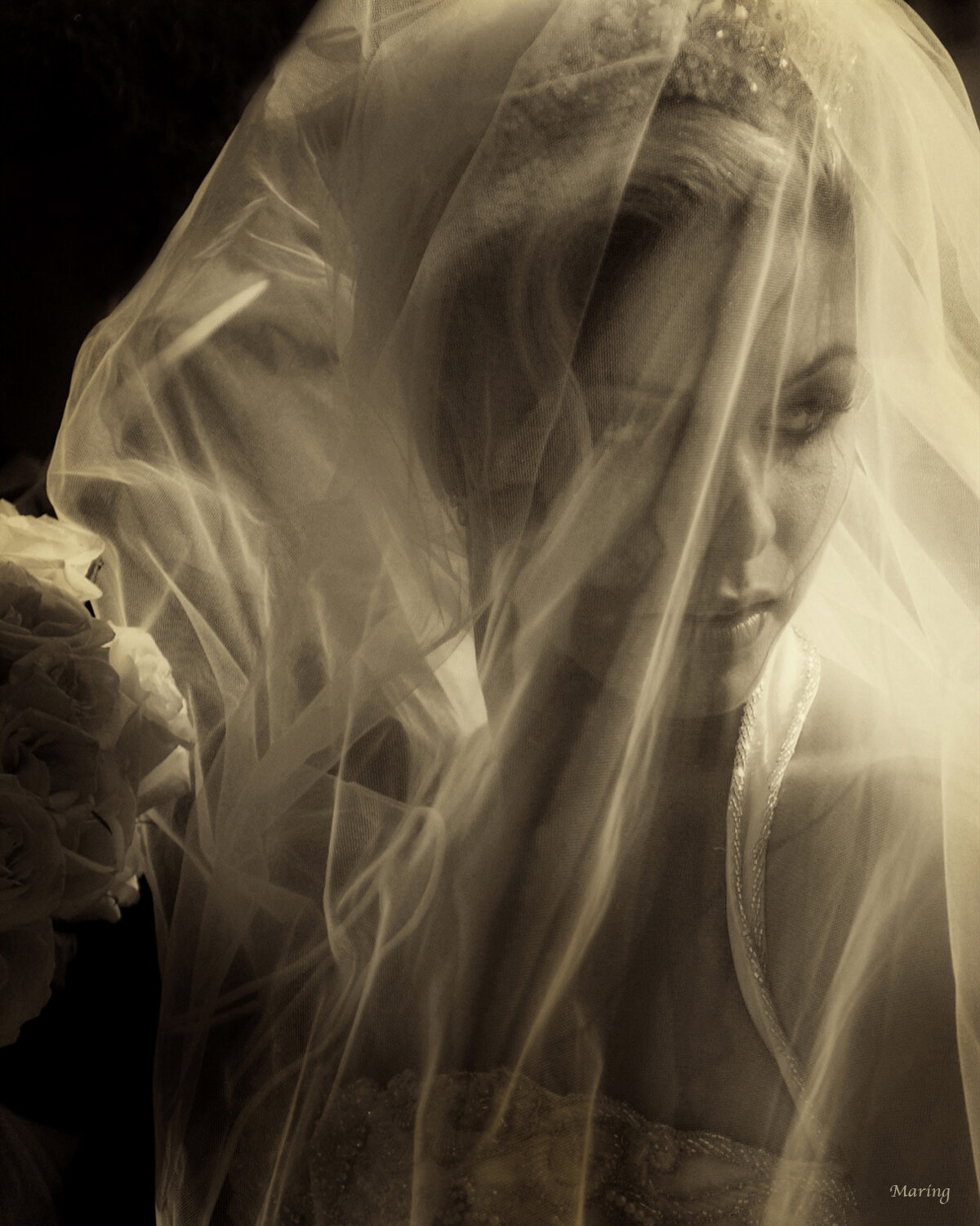 Wedding Photojournalist