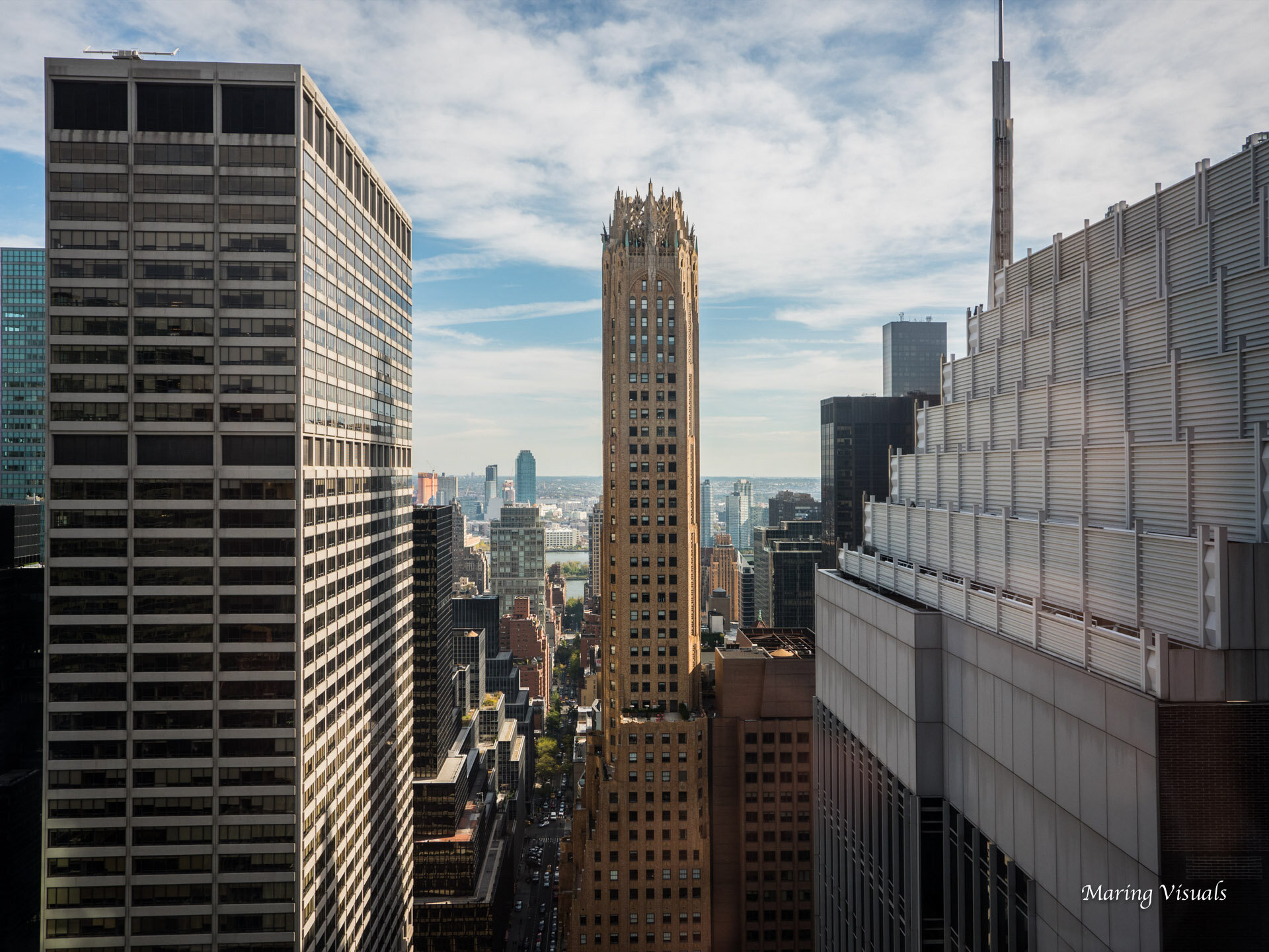 New York Views from the Palace Hotel