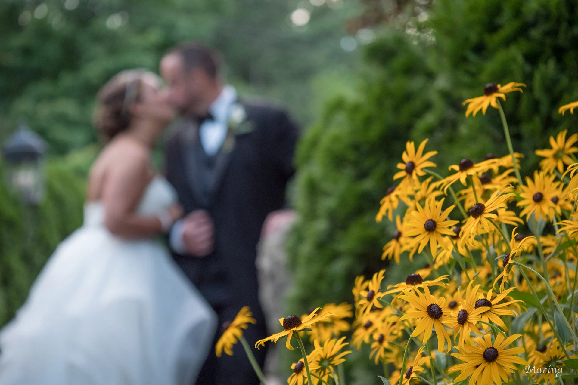 Wedding Photographer Reviews.jpg