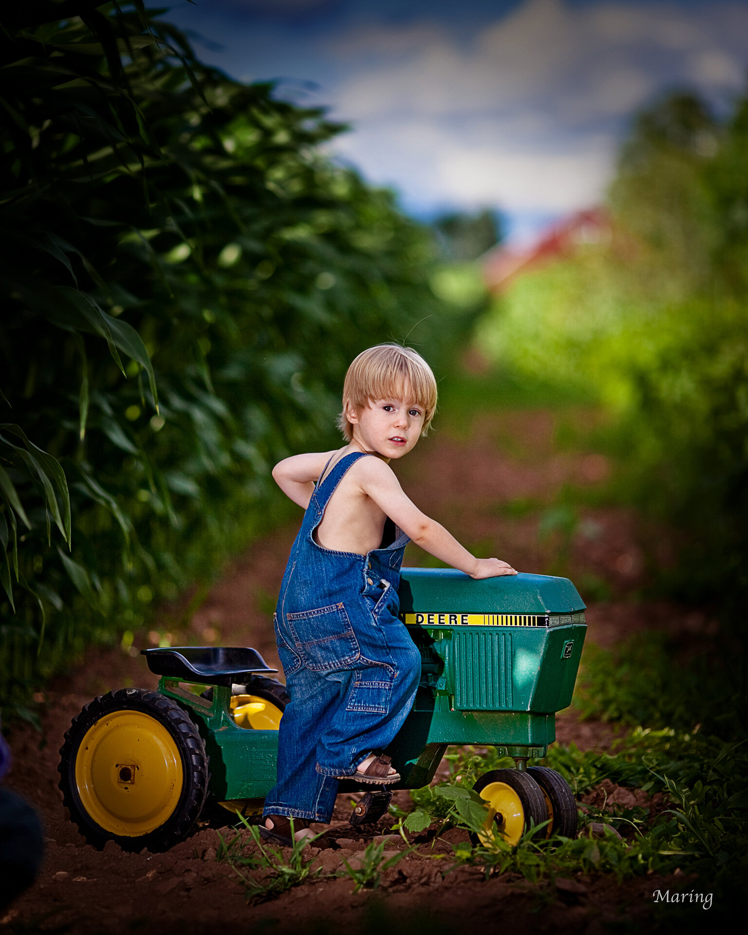 Child Portrait Photographers.jpg