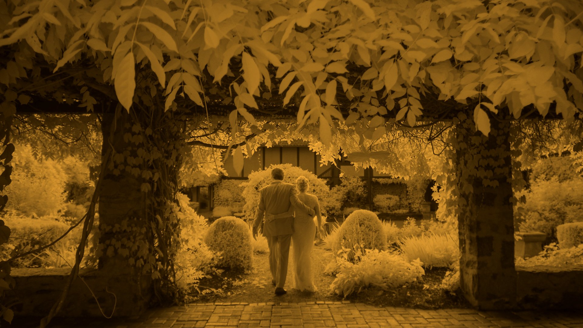 Infrared Courtyard Walk