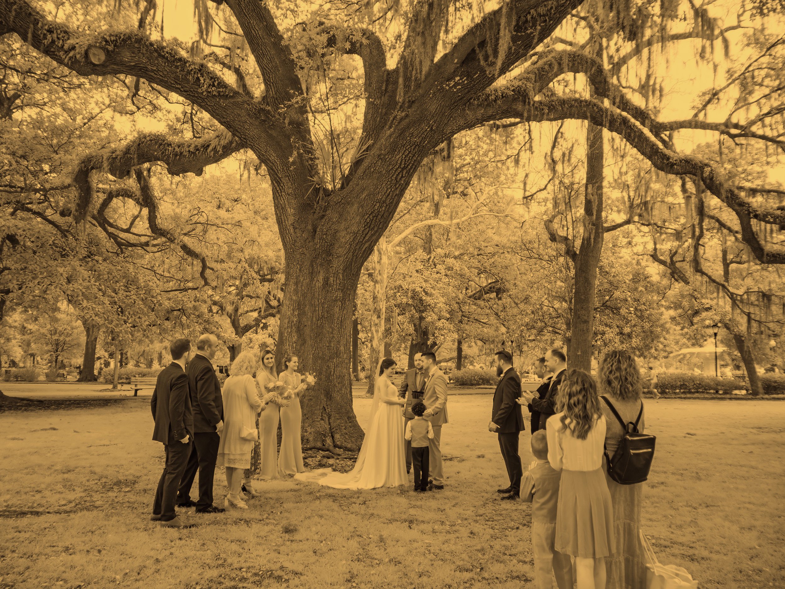 Infrared Ceremony in Forsyth Park
