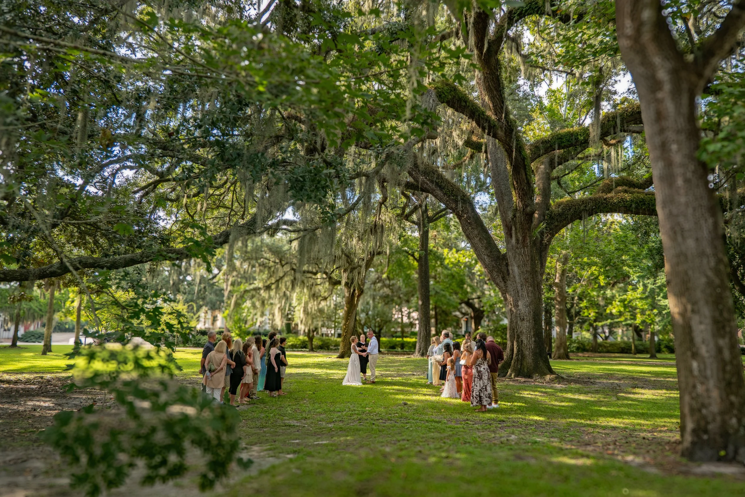 Ceremony Beneath a Sprawling Oak