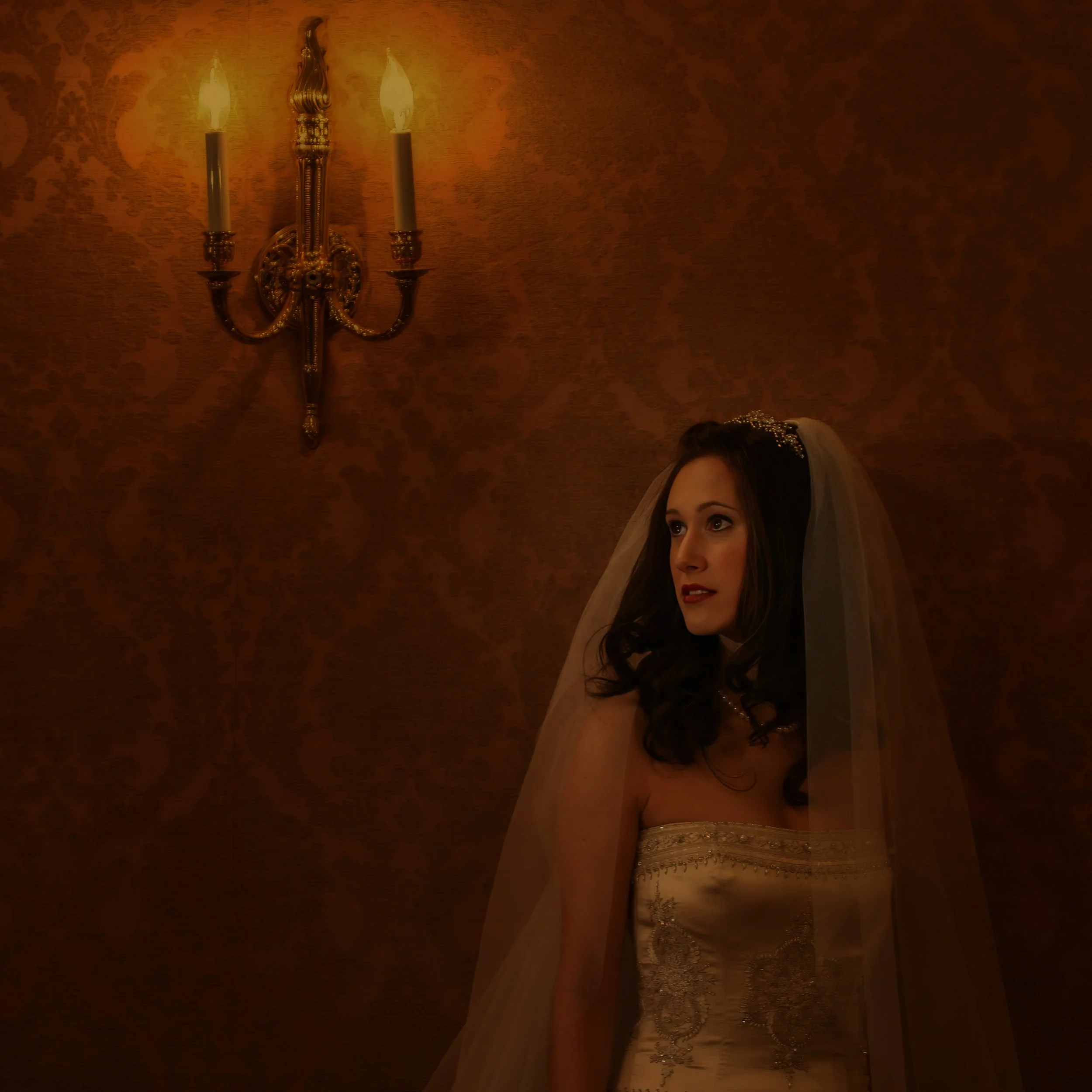 Dark Luxurious Bridal Portrait in an Oheka Castle Salon