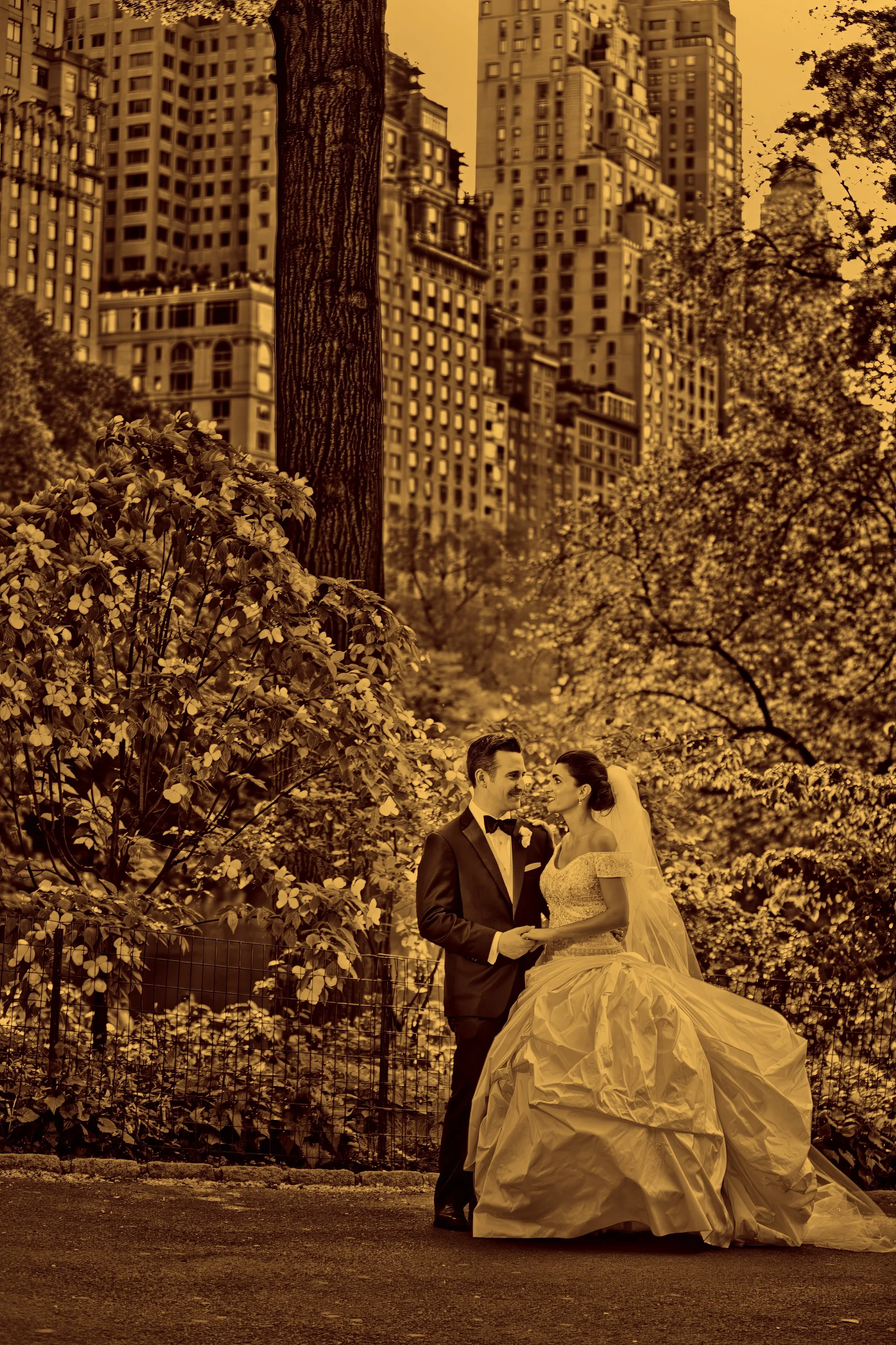Fine Art Bride and Groom Portrait in Central Park NYC