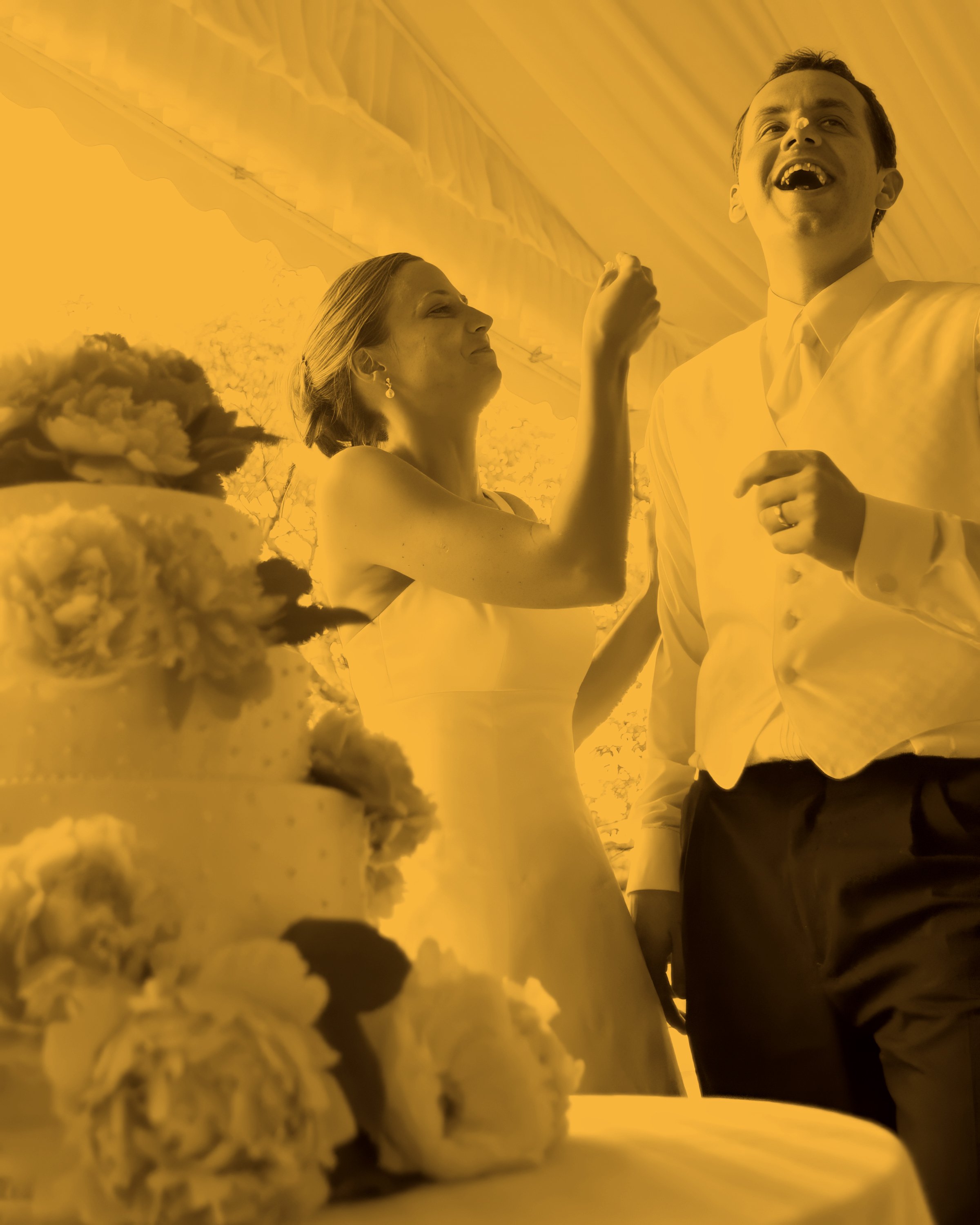 Joyful Cake Cutting Moment Inn at Mystic Wedding