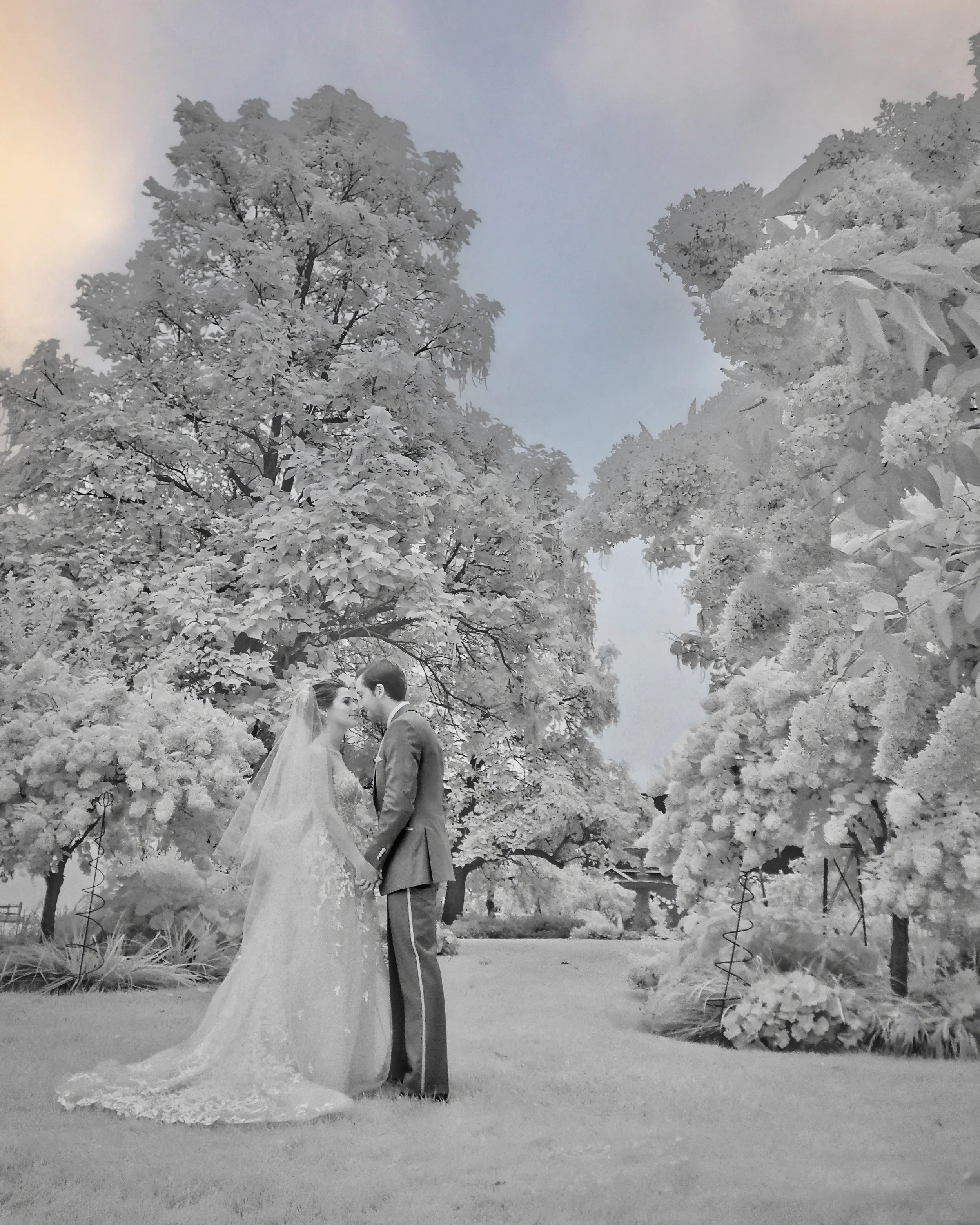 nfrared Wedding Portrait on Main House Lawn at Lion Rock Farm