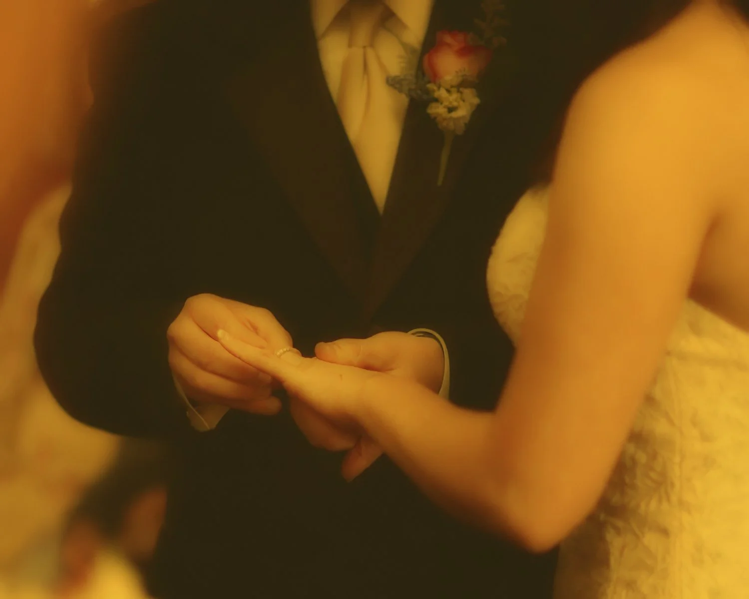 Ring Exchange Detail – Fine Art Hands at Wadsworth Mansion