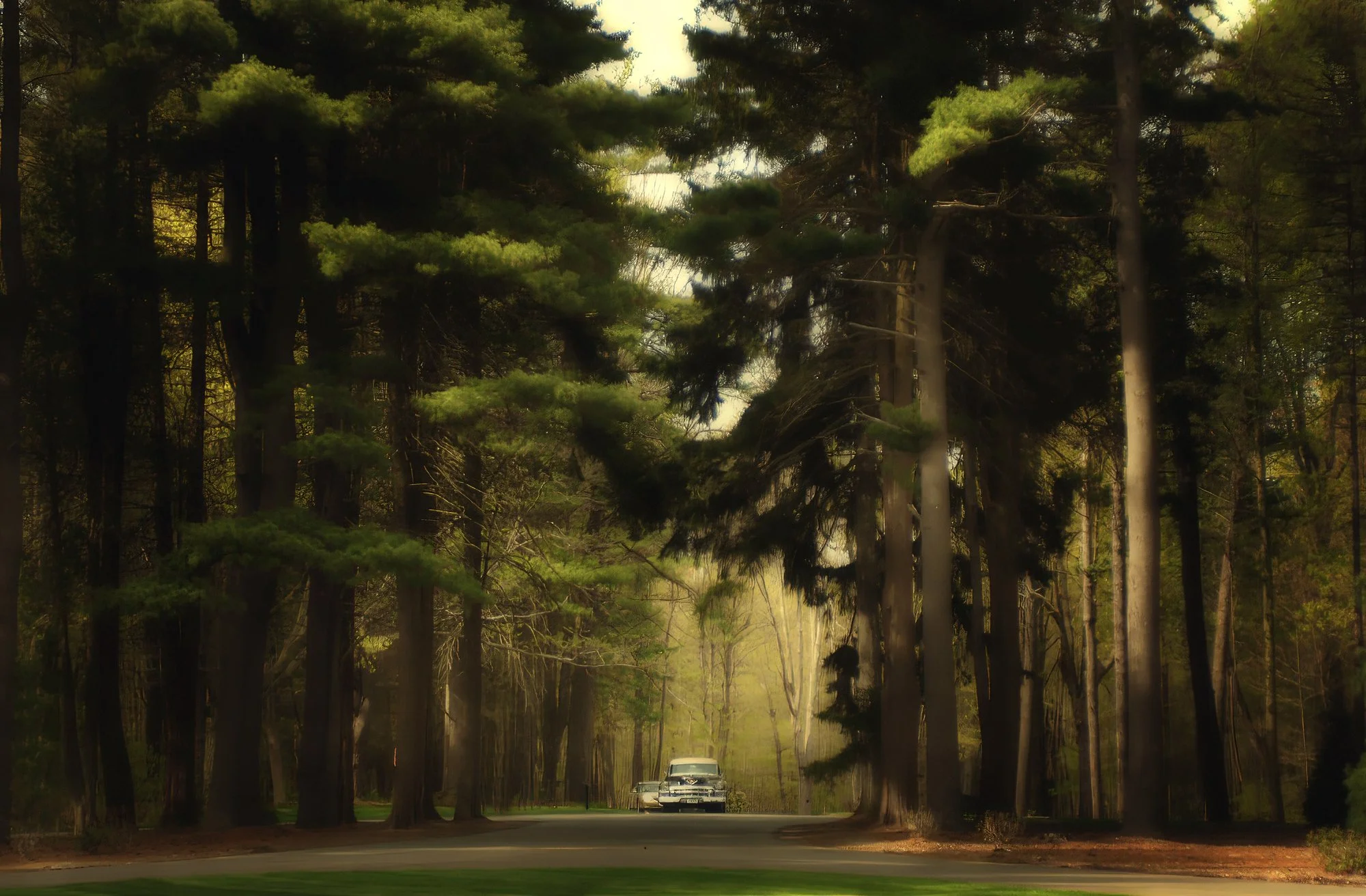 Vintage Arrival – Limousine at Wadsworth Mansion Estate