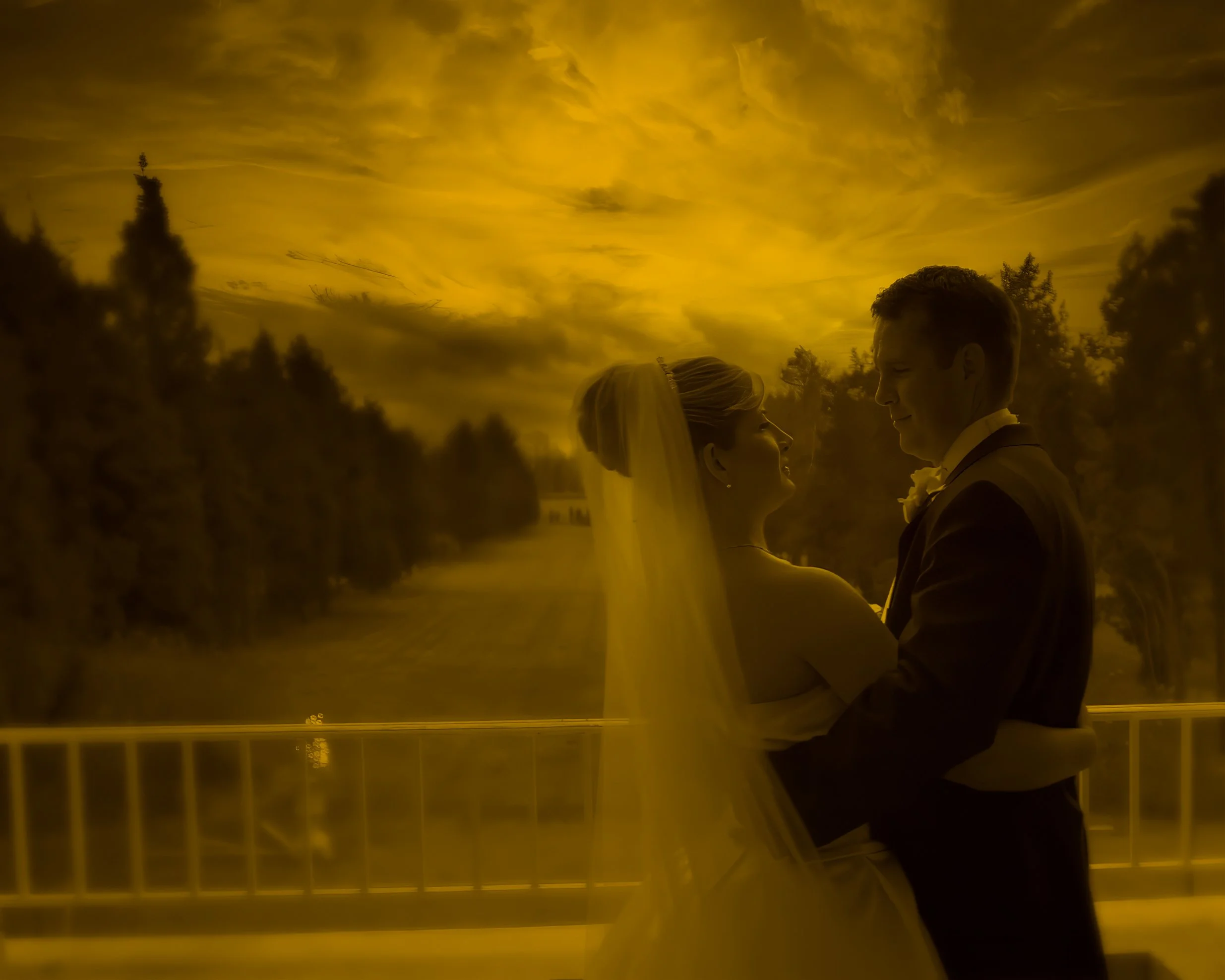 Terrace Silhouette – Wadsworth Mansion Skyline View