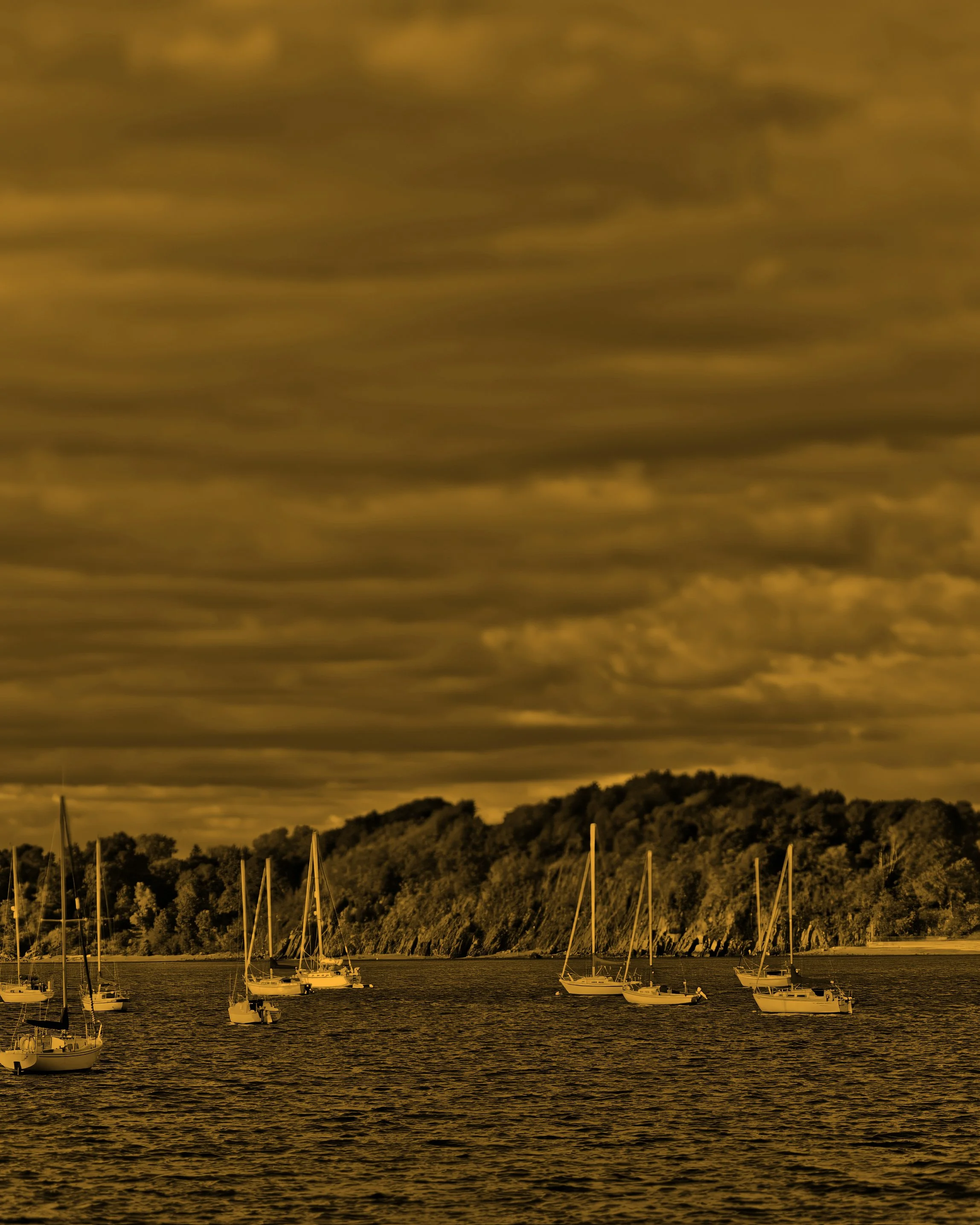 Sailboats in New Haven Harbor at Amarante’s Sea Cliff