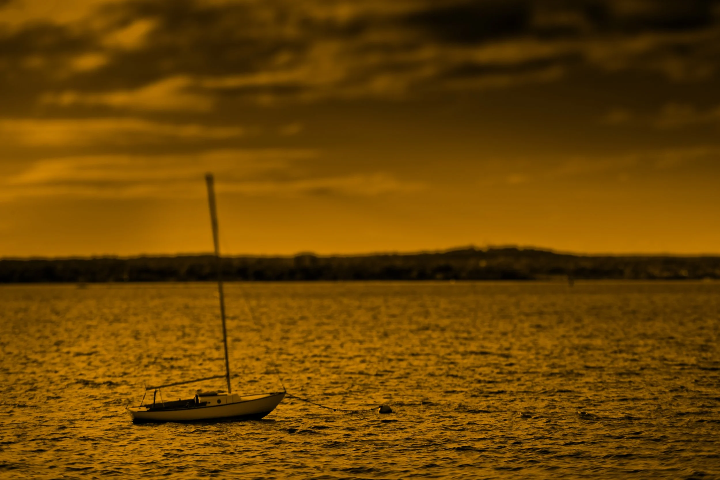 Sailboat Off the Coast at Amarante’s Sea Cliff