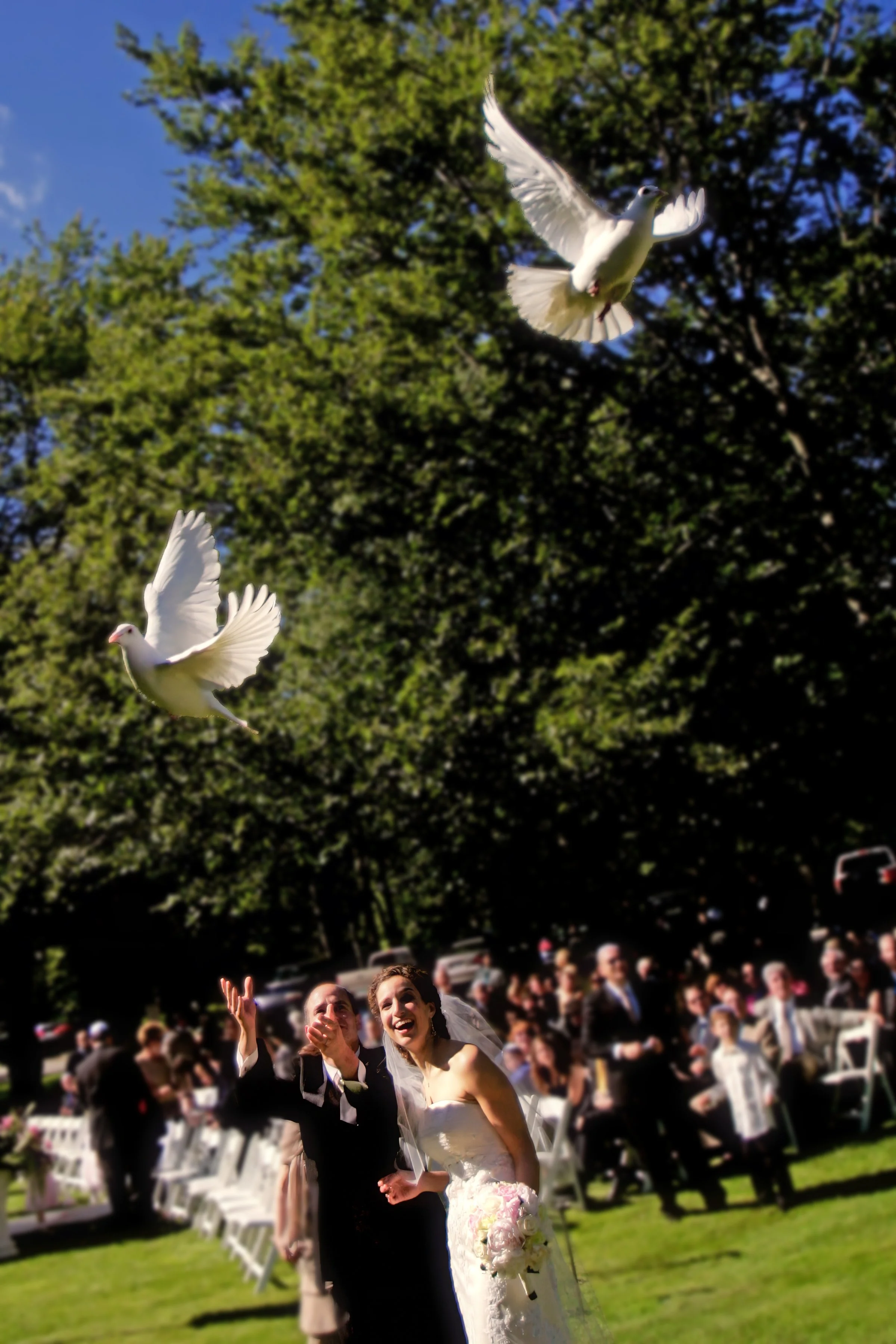 Post Ceremony Dove Release