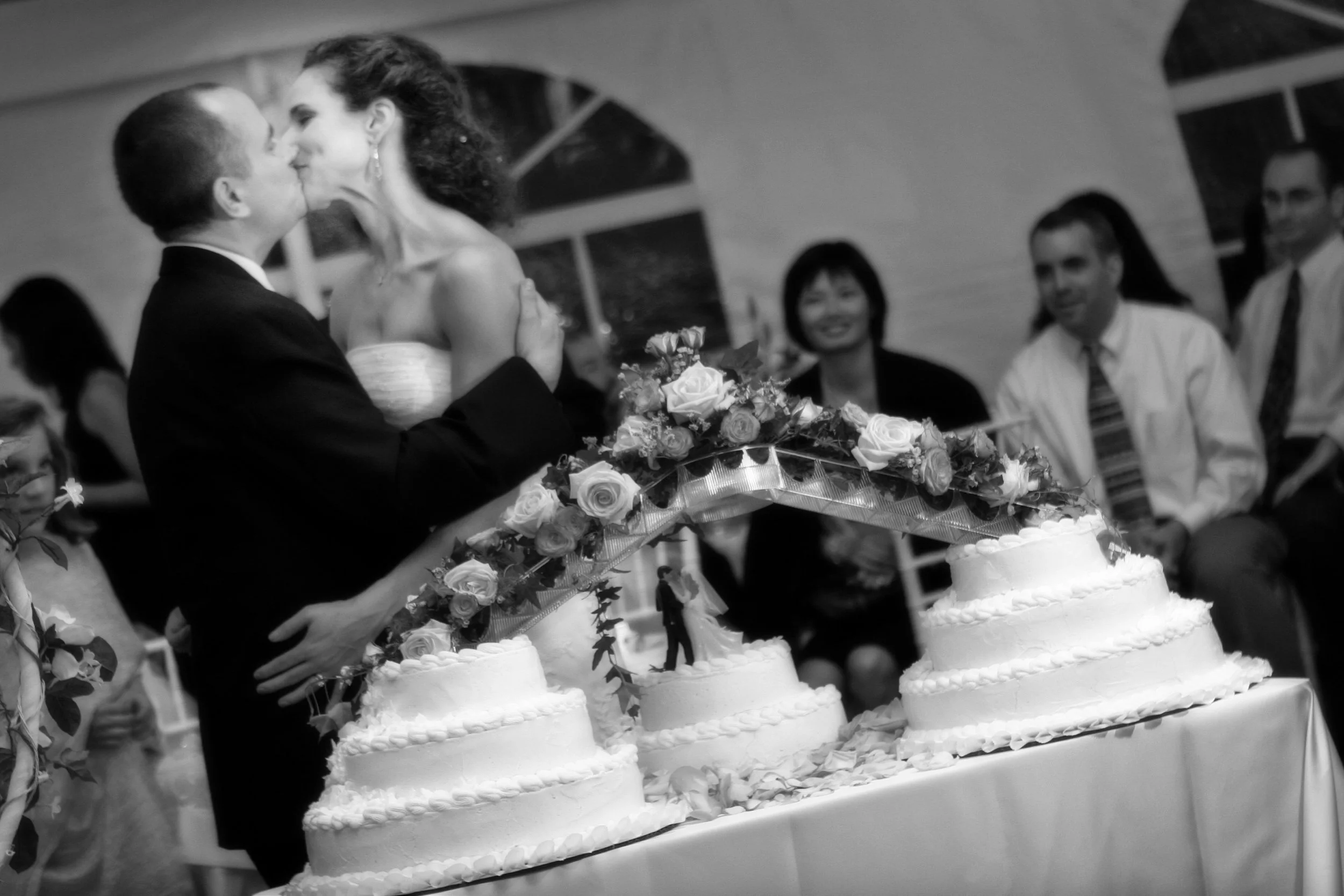 Wedding Cake Cutting Celebration