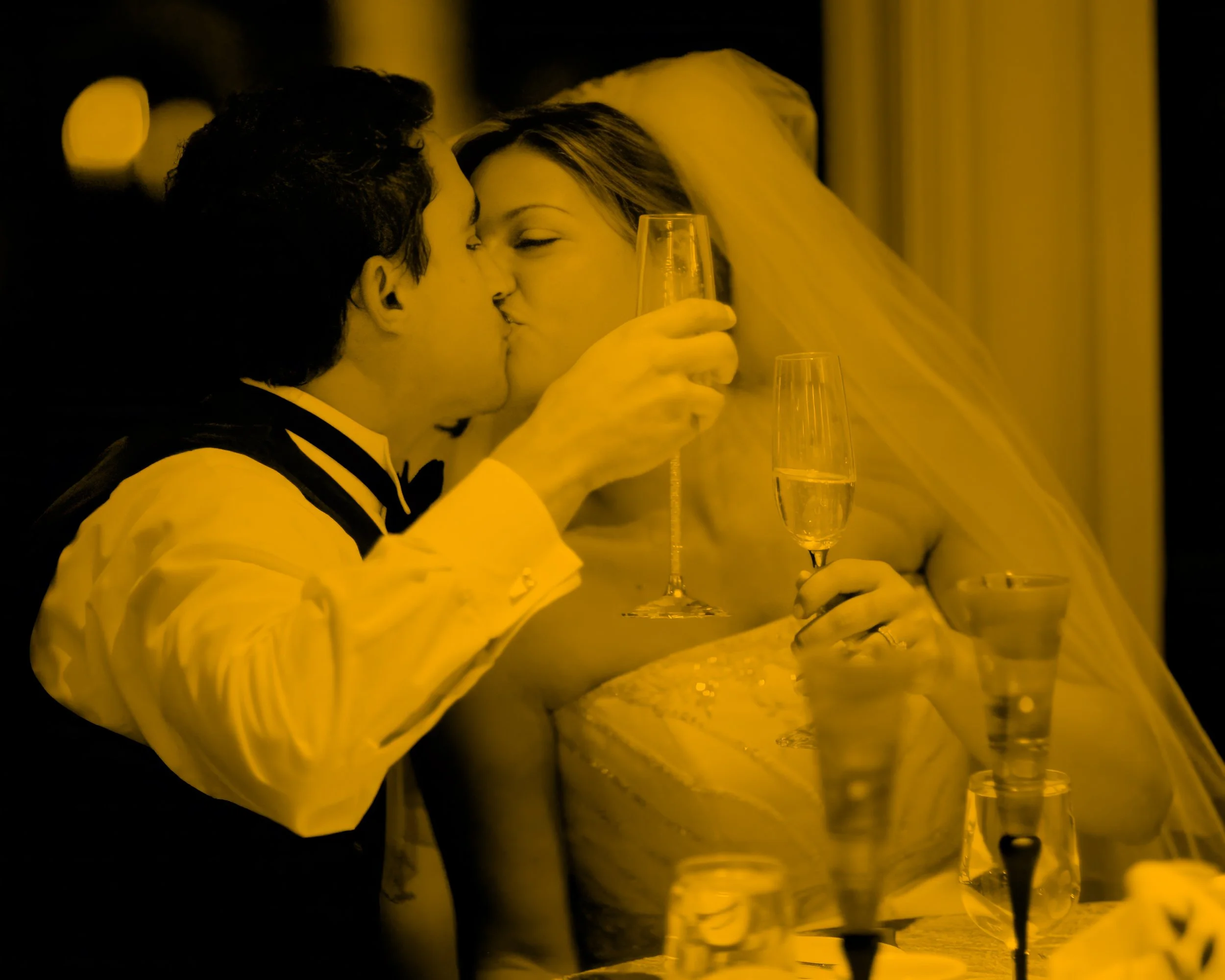 waterview-monroe-ct-wedding-reception-toast-kiss.jpg