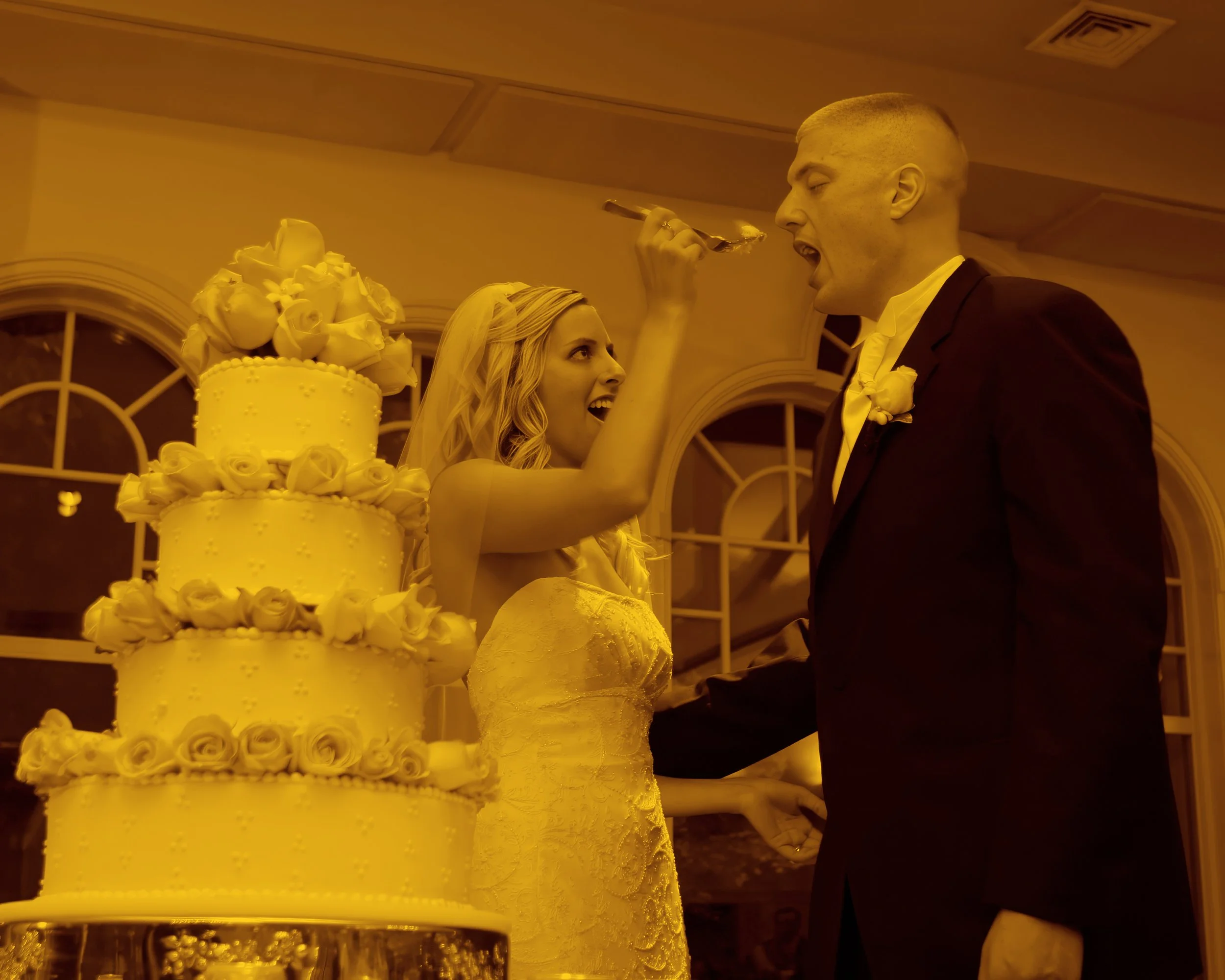 waterview-monroe-ct-wedding-reception-cake-feeding.jpg