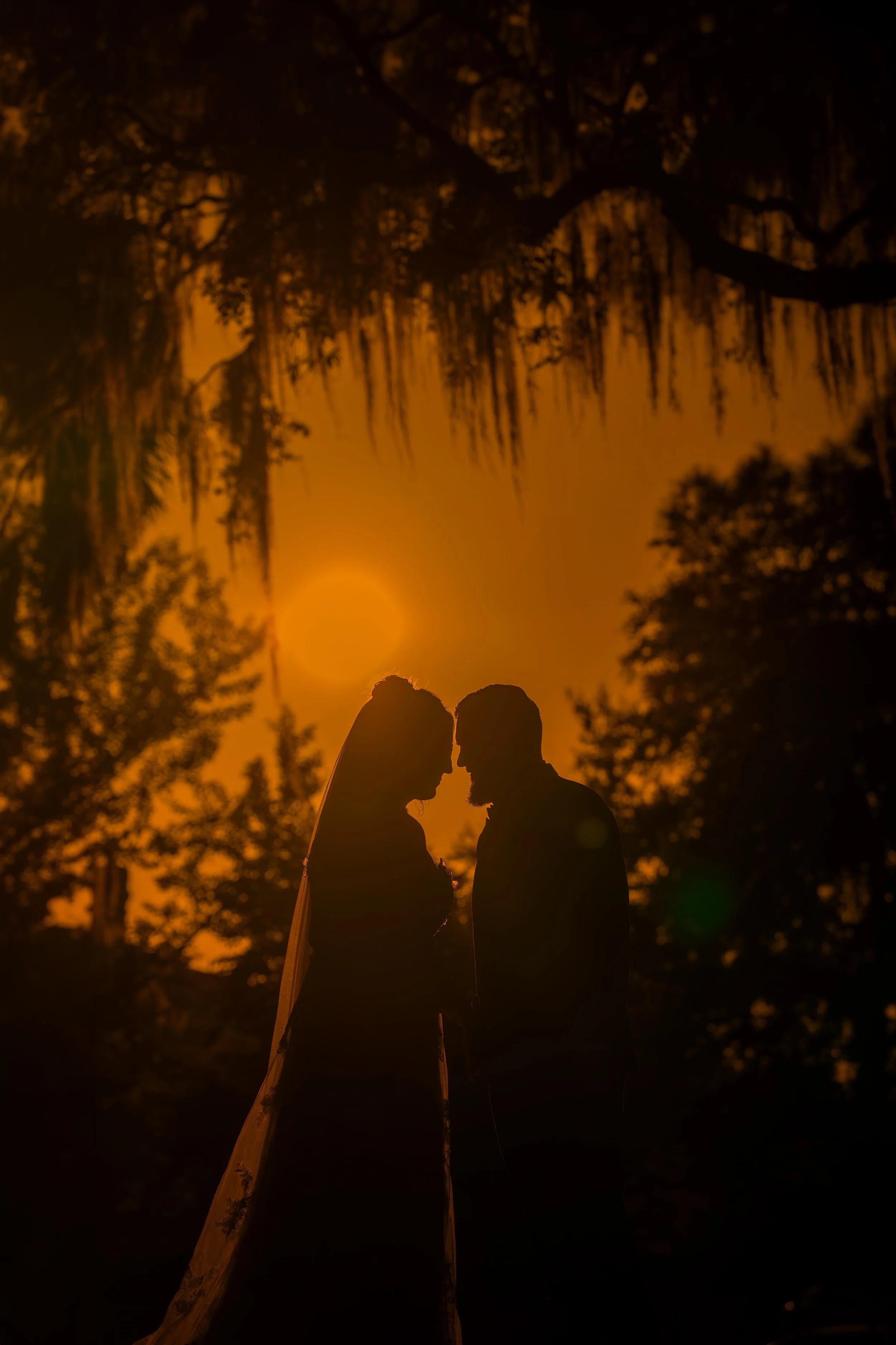 Dramatic Sunset Silhouette in Forsyth Park Savannah