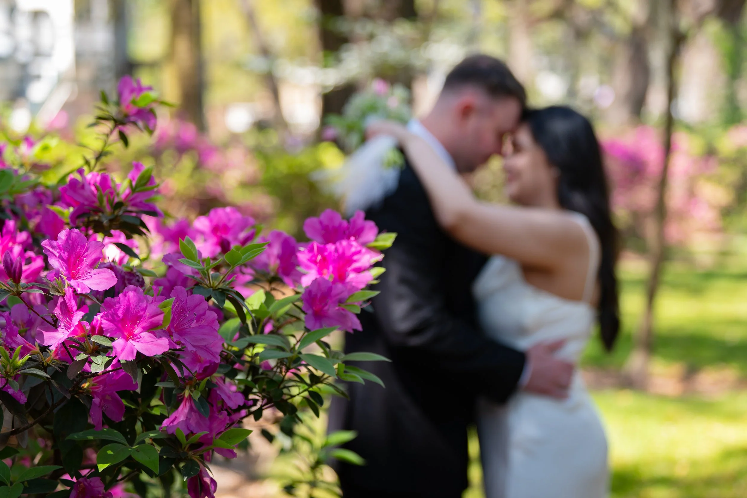 Spring Azalea Elopement in Forsyth Park Savannah