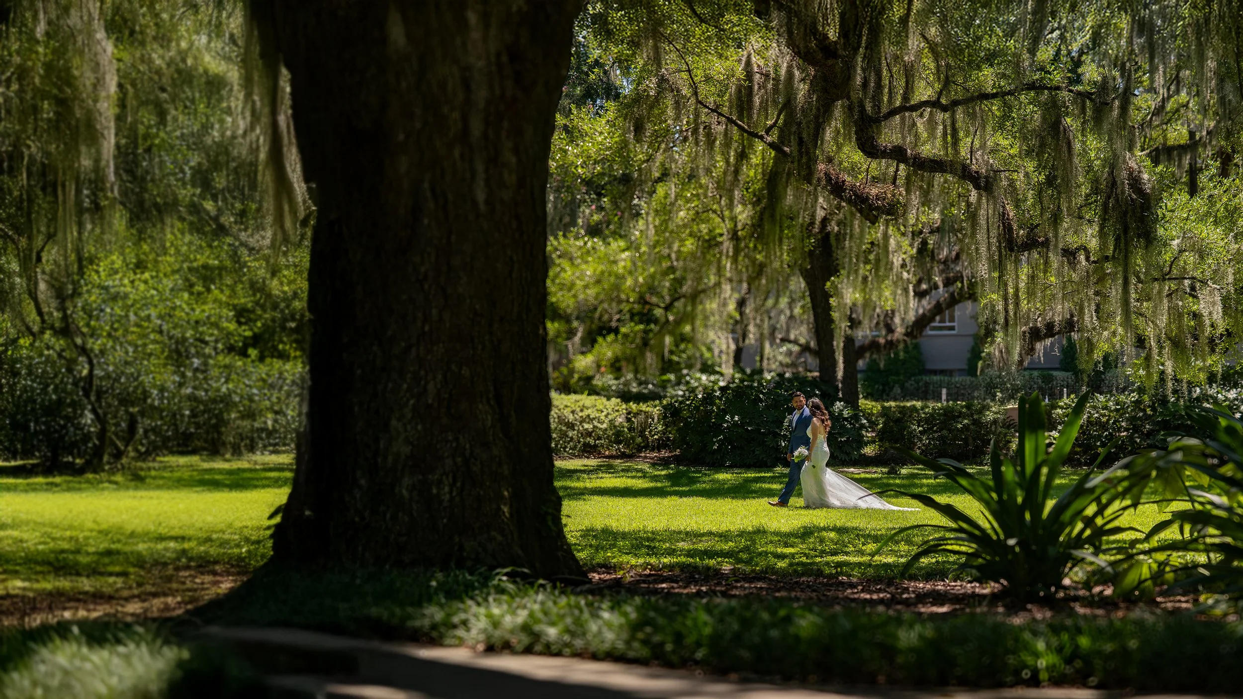 Romantic Walk Beneath the Live Oaks in Forsyth Park
