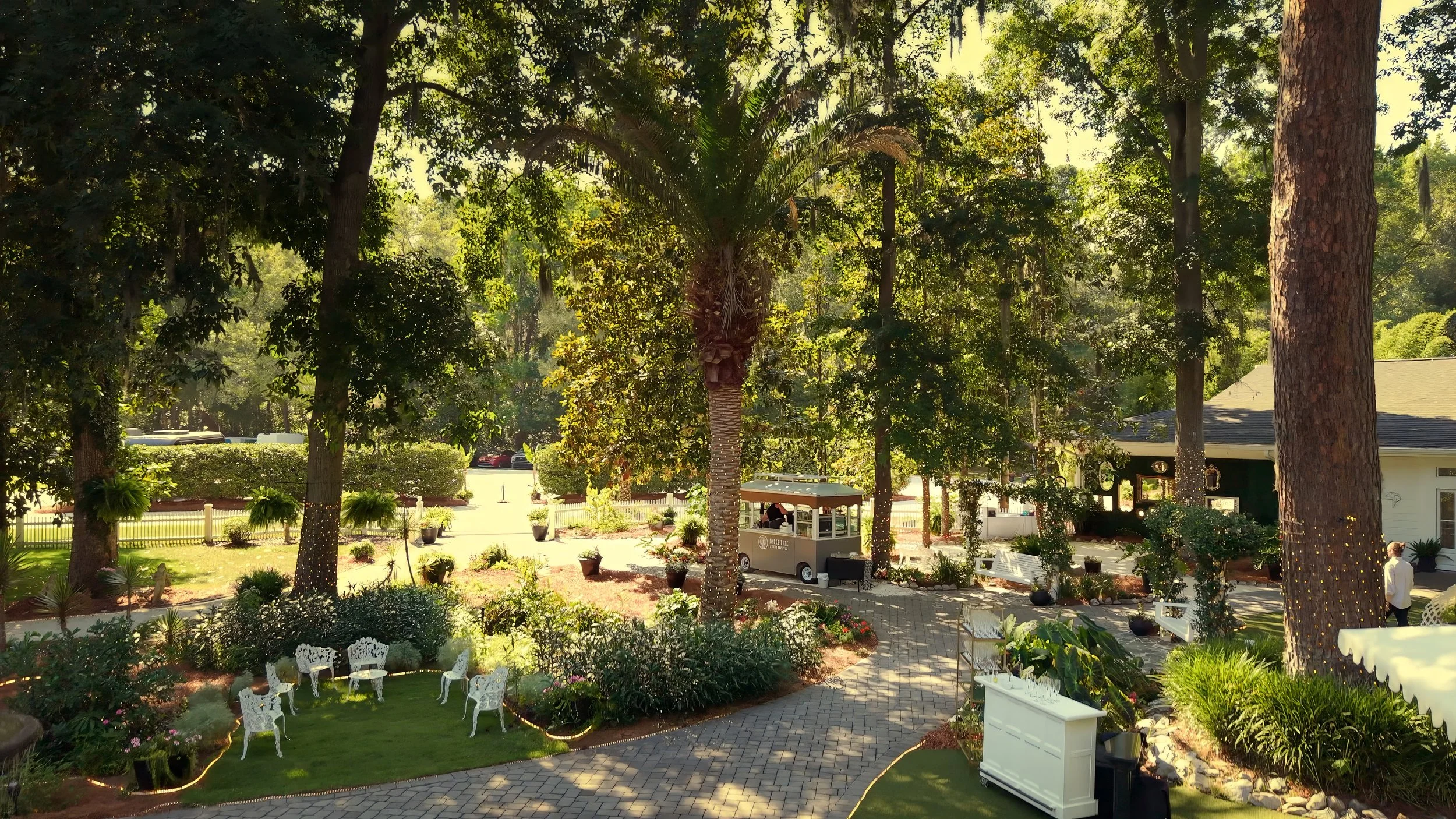 Three Tree Coffee Experience