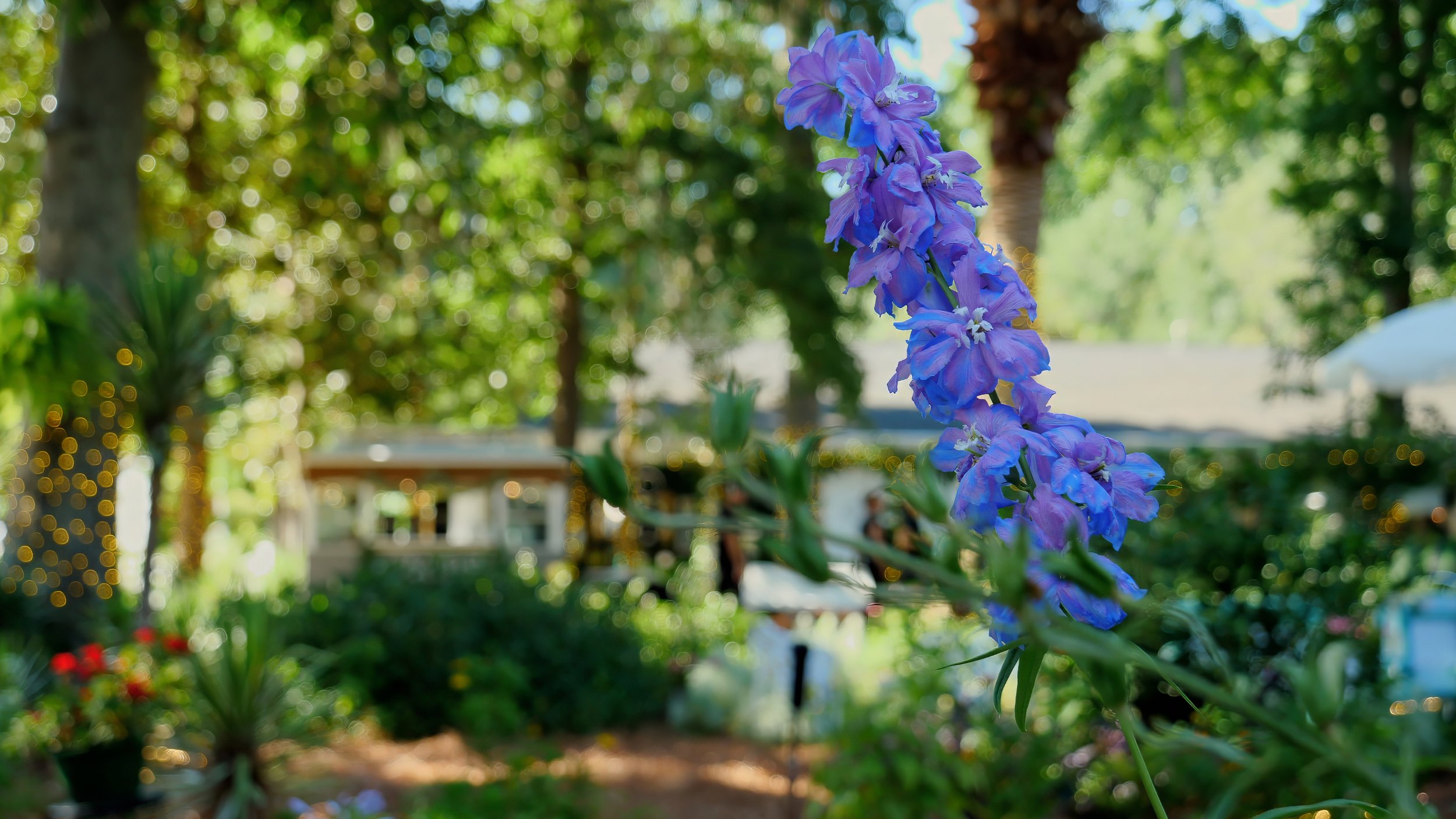 Seasonal Garden Design