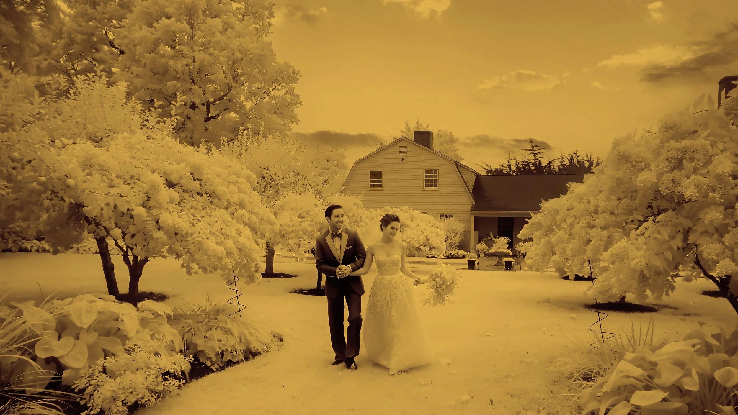 Infrared fine art wedding portrait of bride and groom walking on the main lawn gardens surrounded by flowering trees at Lion Rock Farm.