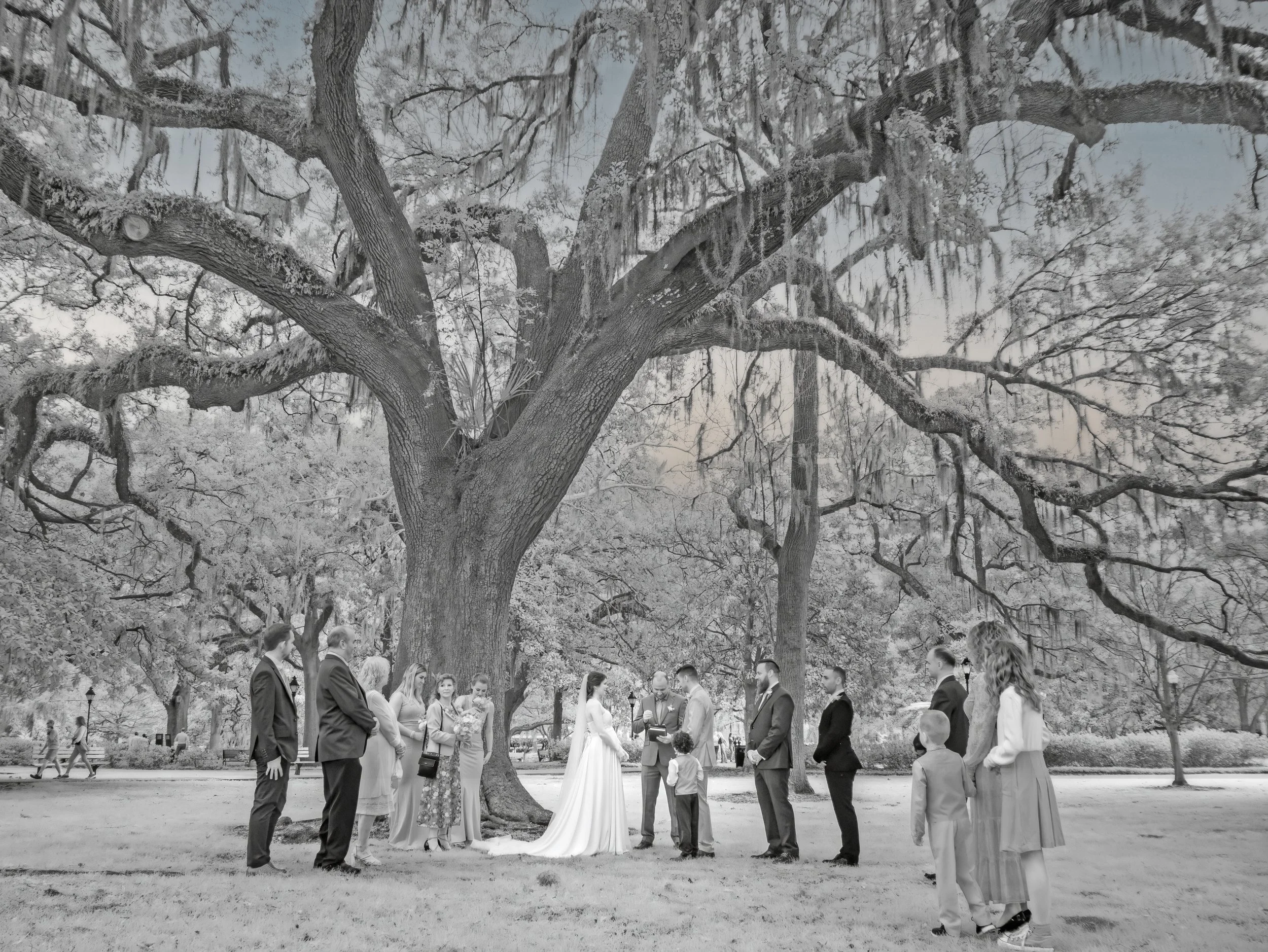 Forsyth Park elopement packages infrared black and white ceremony under live oaks Savannah intimate wedding