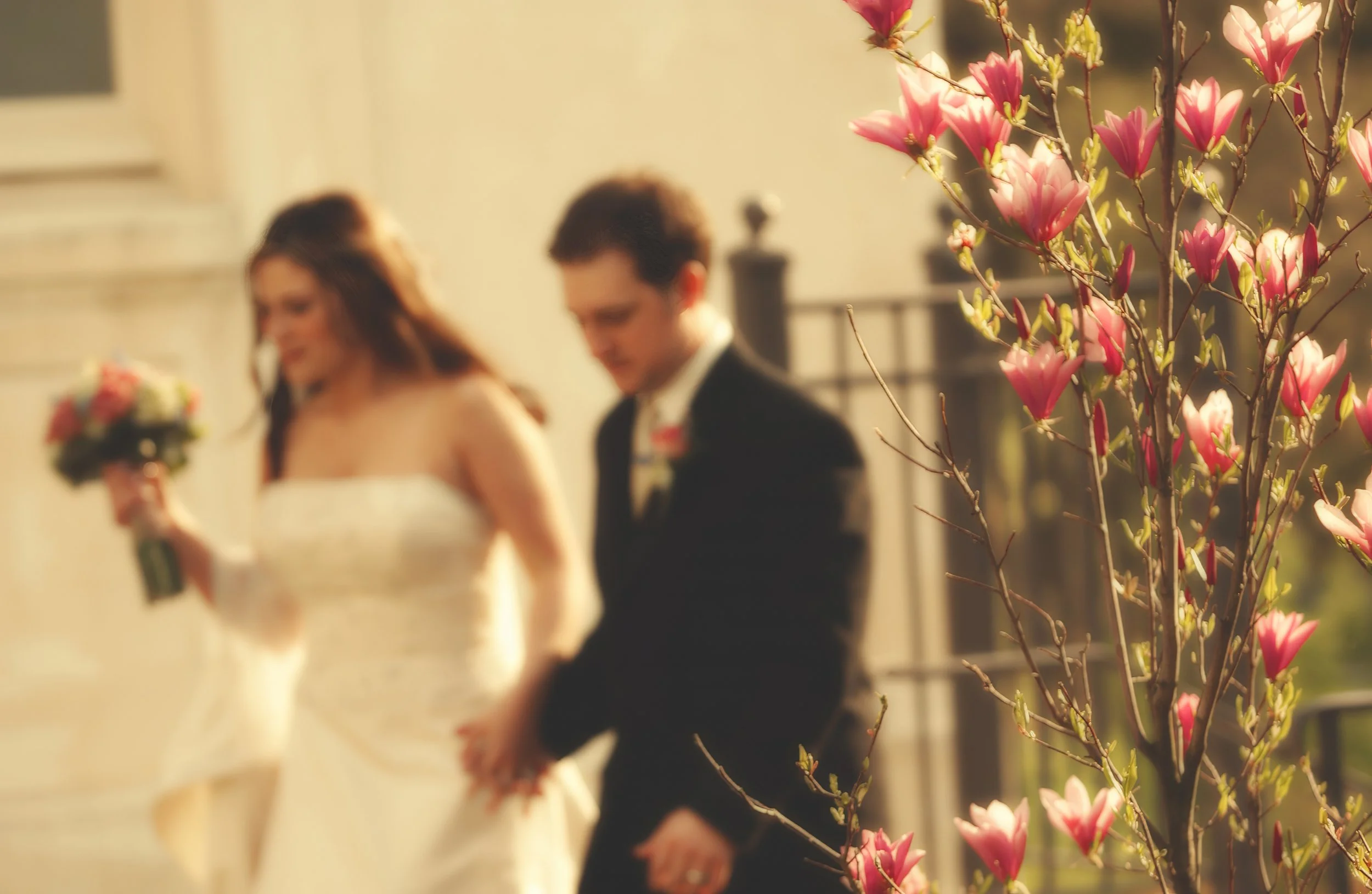 Bride and groom walking the grounds of Wadsworth Mansion in Middletown, Connecticut surrounded by blooming spring flowers.