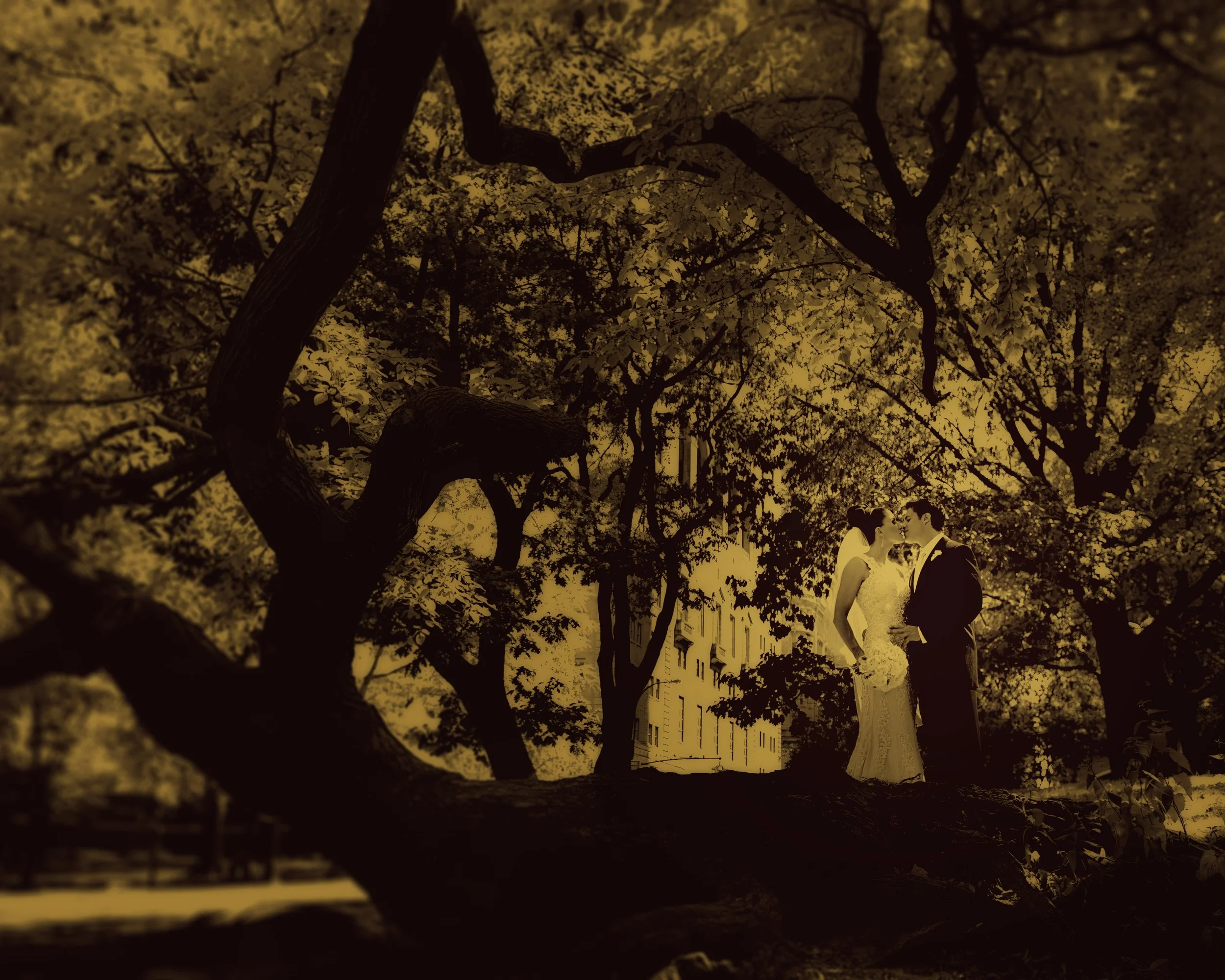 Fine art portrait of the bride and groom in Central Park adjacent Essex House