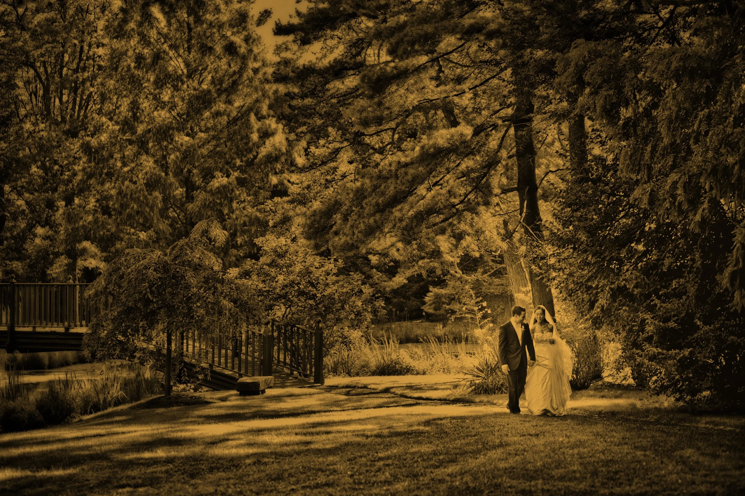 Bride and groom walk hand in hand across the landscaped grounds of Pleasantdale Chateau in a fine art portrait.