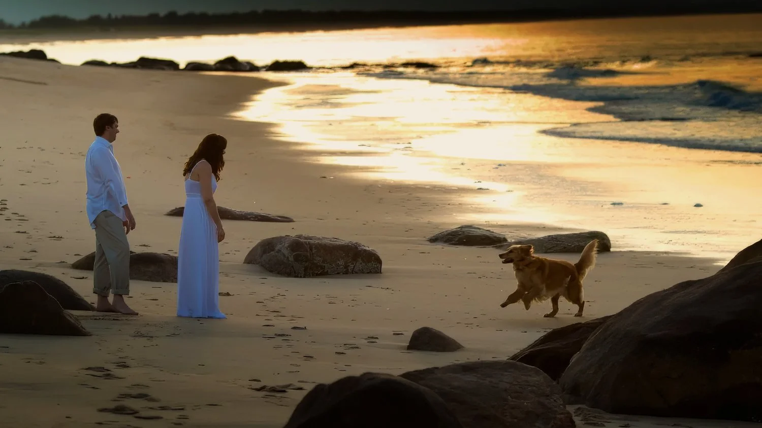 Engagement portraits that are authentic moments at home with the dog