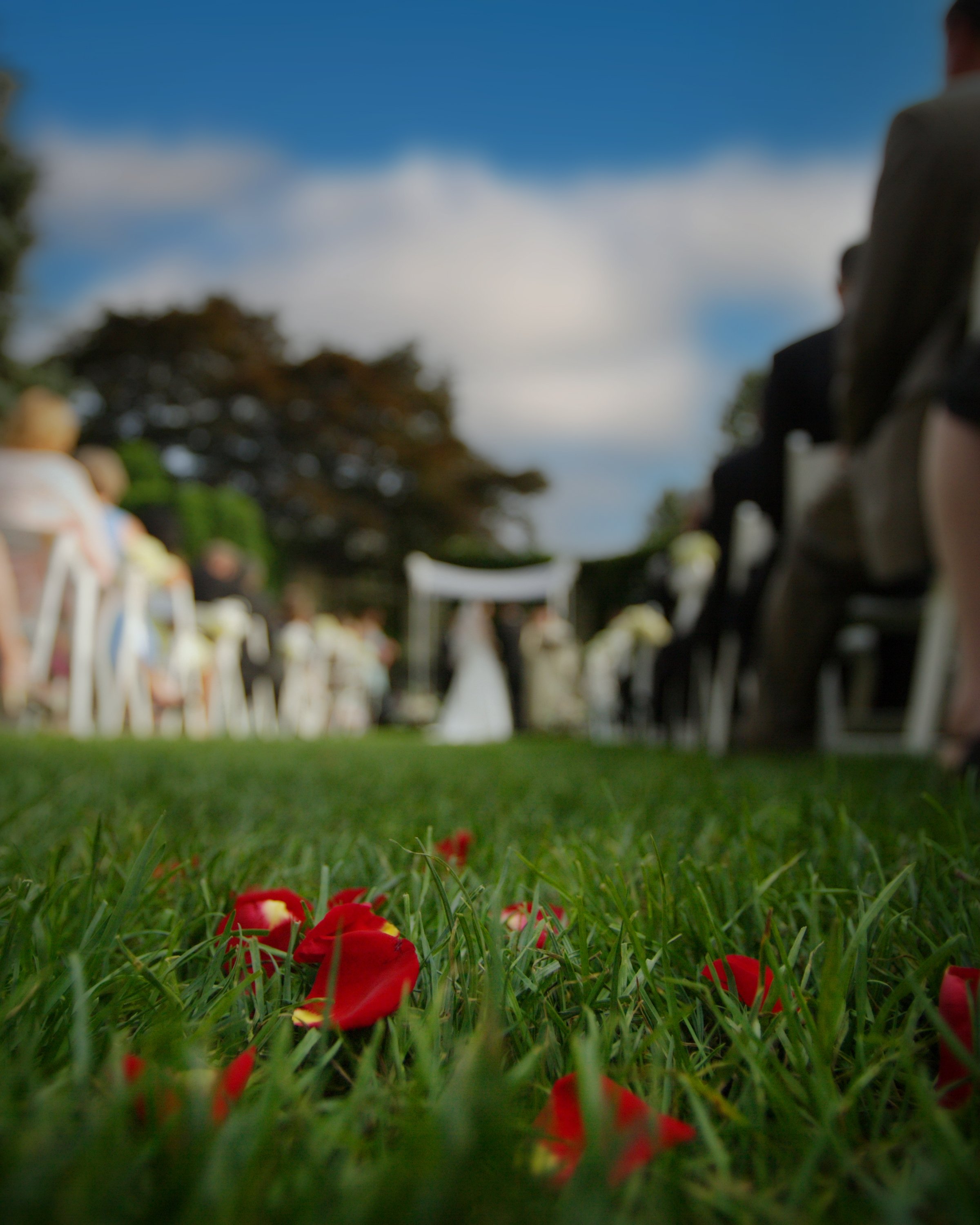 Rose petals scattered in the grass at an outdoor wedding ceremony at Le Chateau