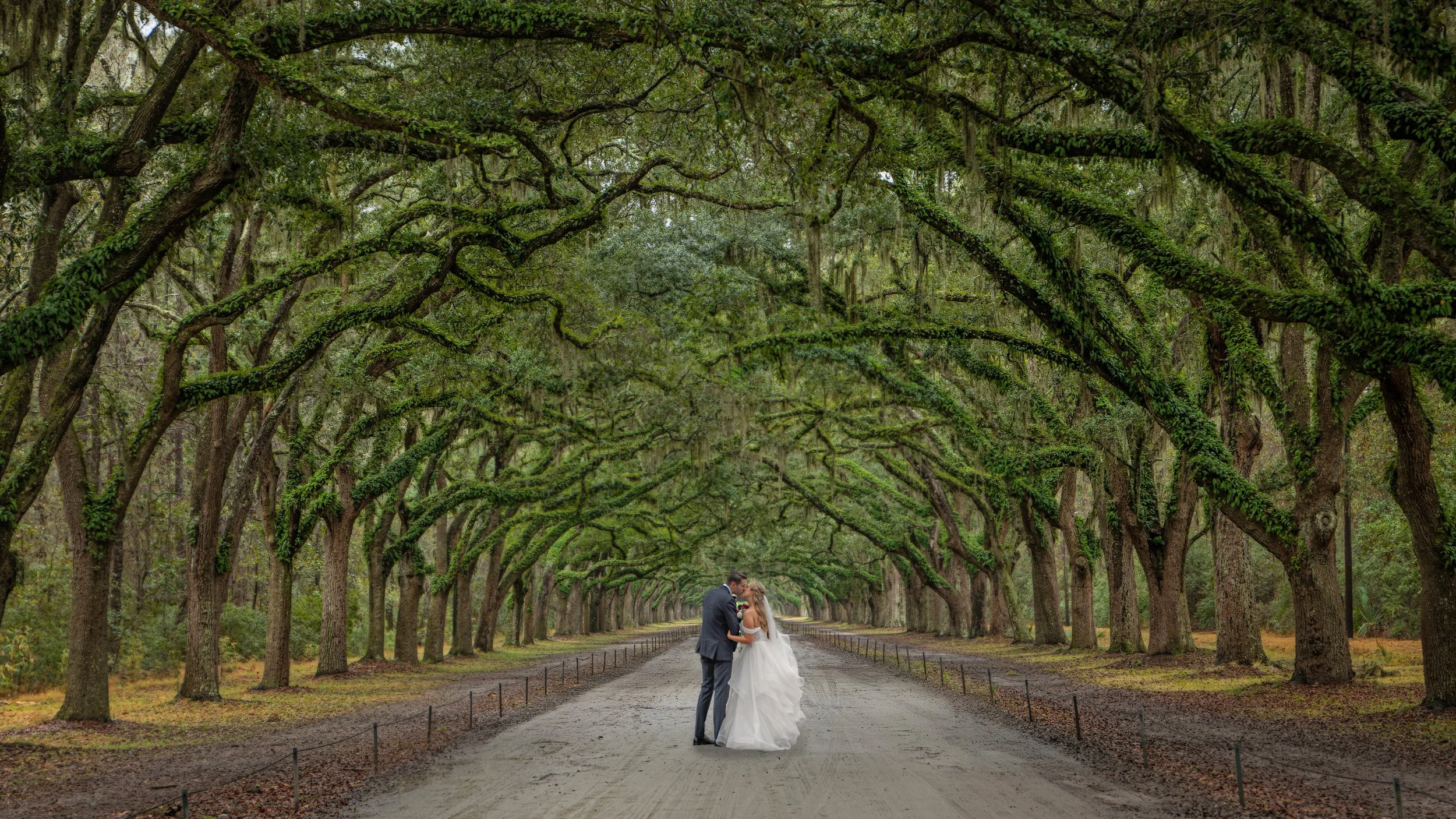 elope to Savannah bride and groom kiss beneath live oaks Wormsloe Savannah Georgia