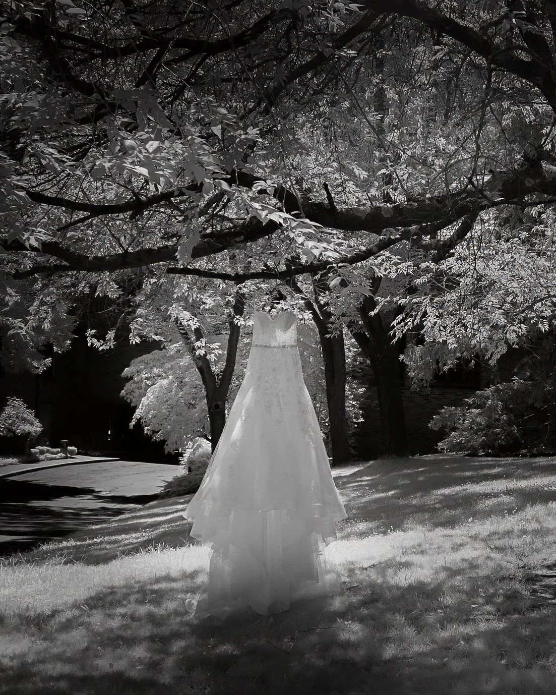 Wedding dress beneath a tree at Whispering Oaks Norwalk CT