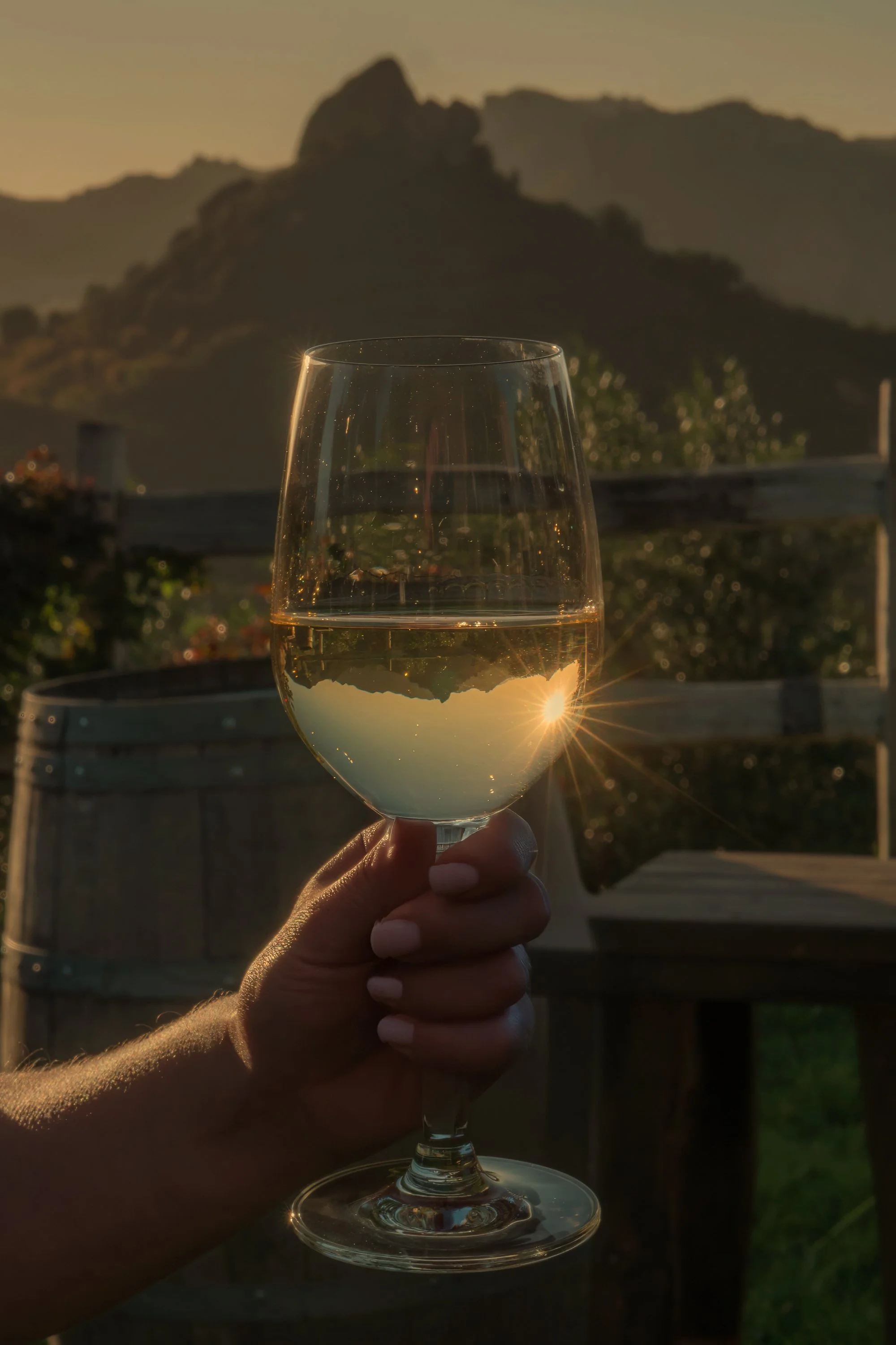Wedding details overlooking the Malibu hills at Cielo Farms vineyard.