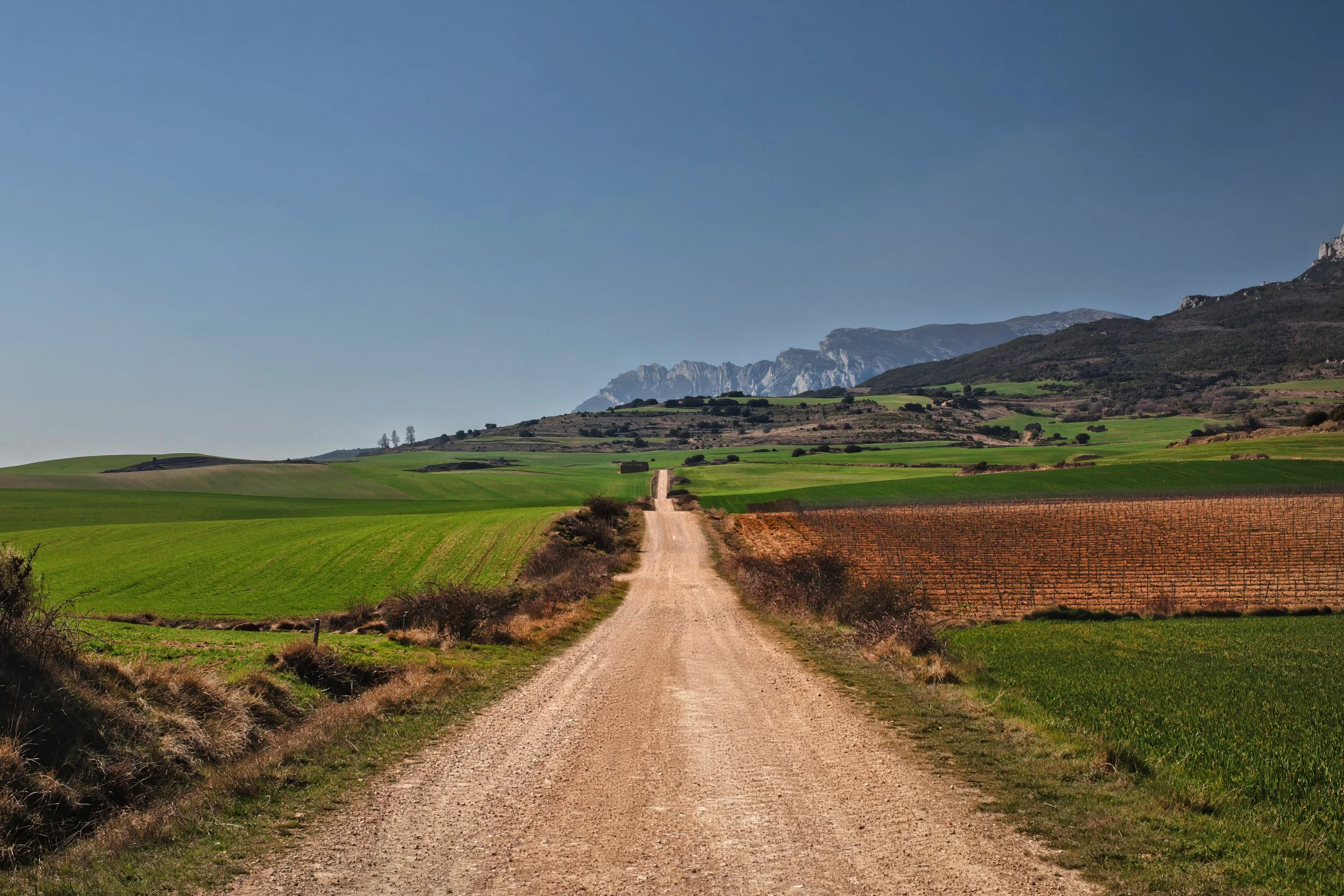 Road to the Pyrenees in Spain