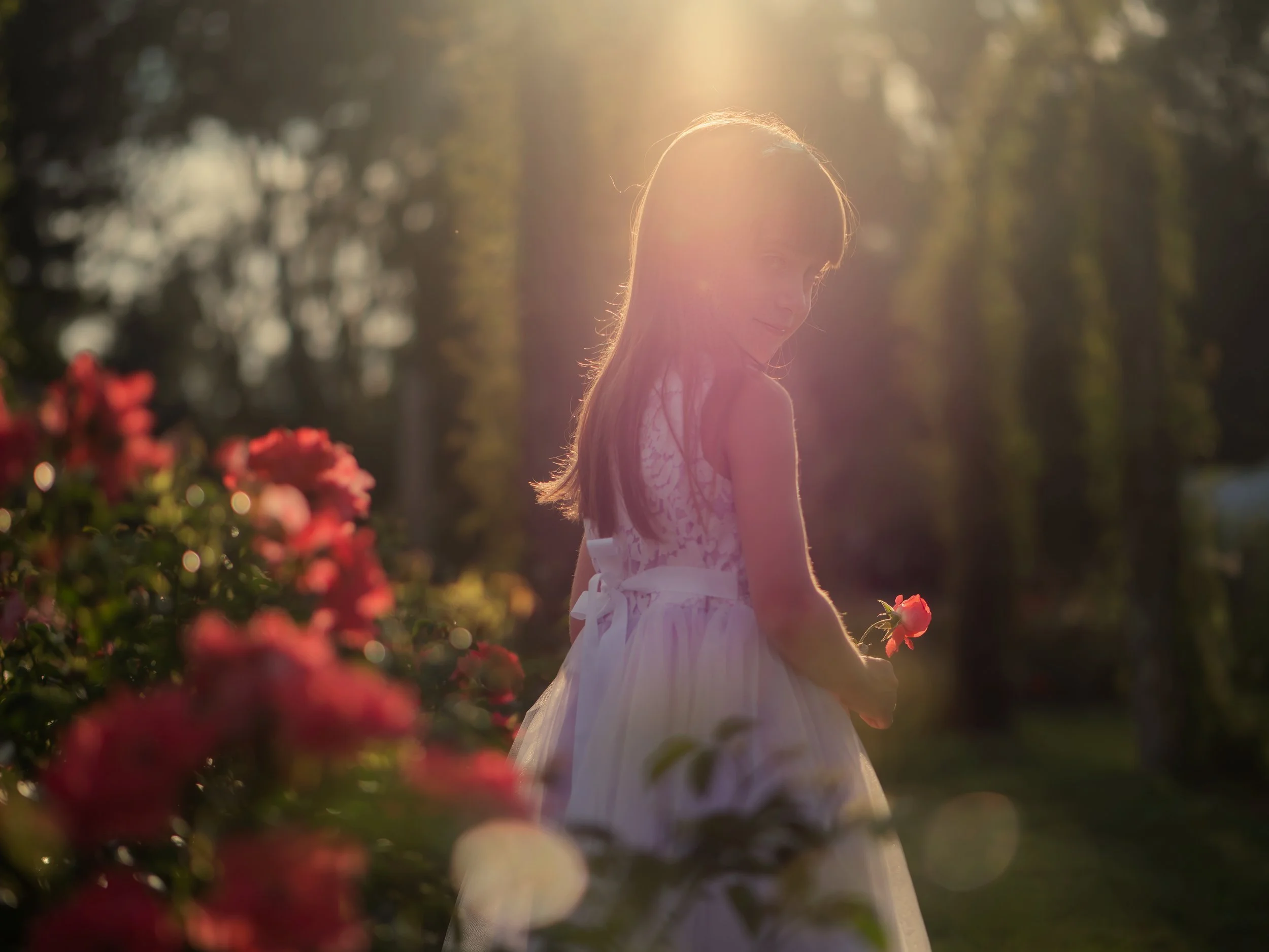 Capturing the magical glow of Elizabeth Park, where imagination and nature meet.