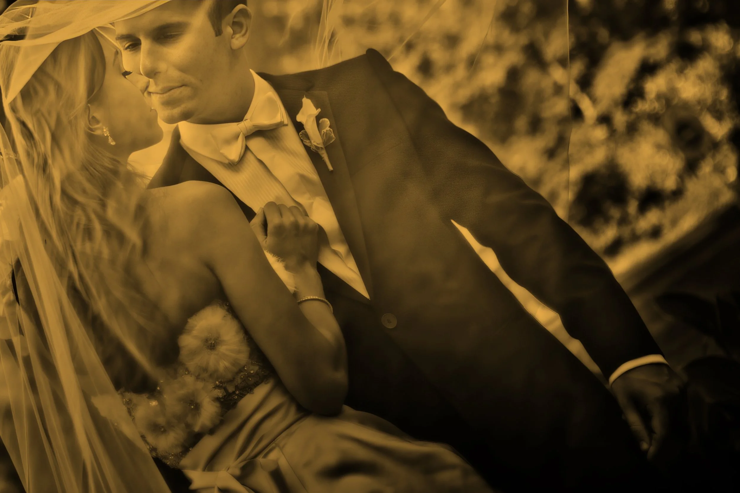 Bride and groom share an intimate moment beneath the bridal veil.