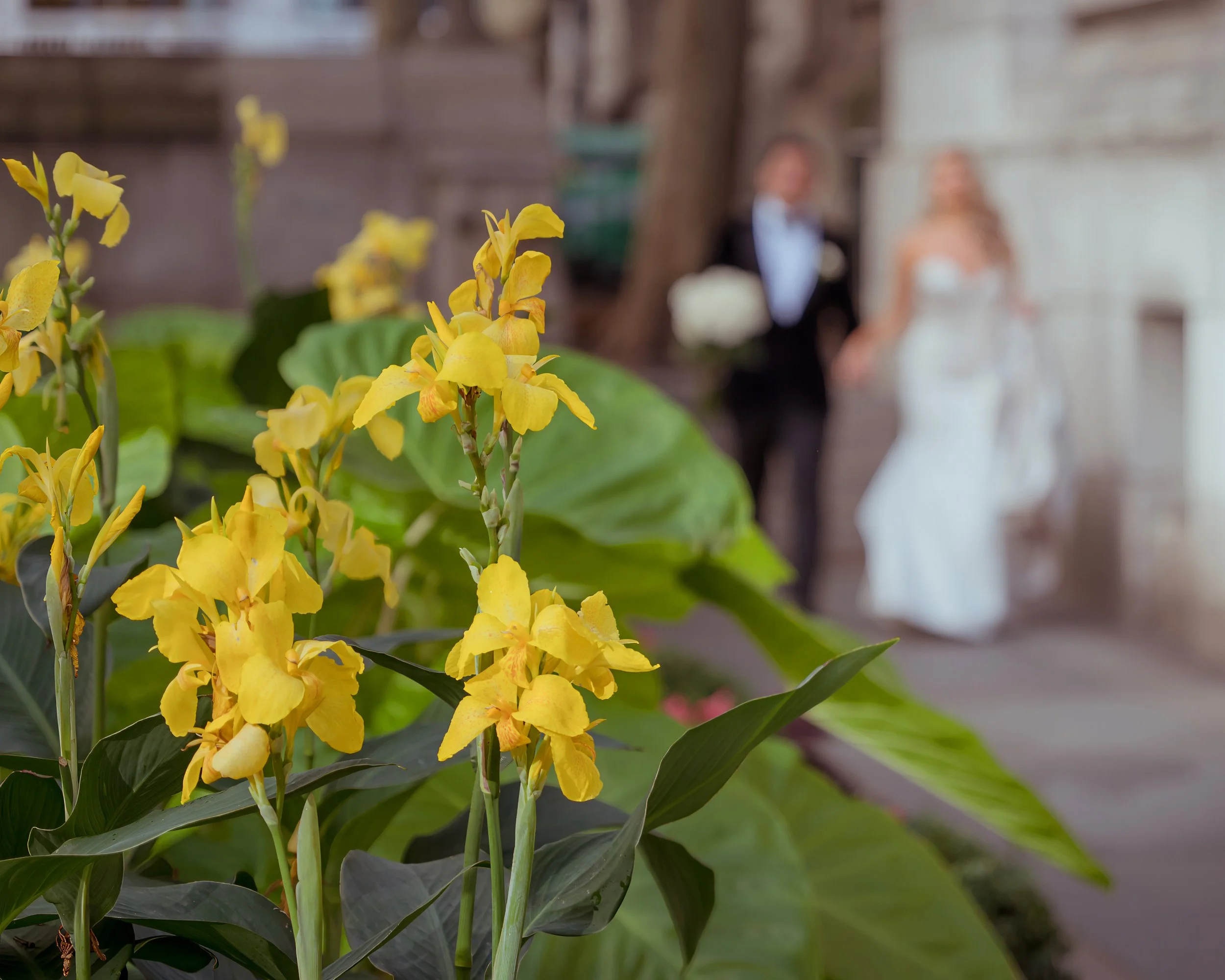 Bride and groom walk hand in hand past seasonal flowers toward Bryant Park in Midtown Manhattan during a wedding day