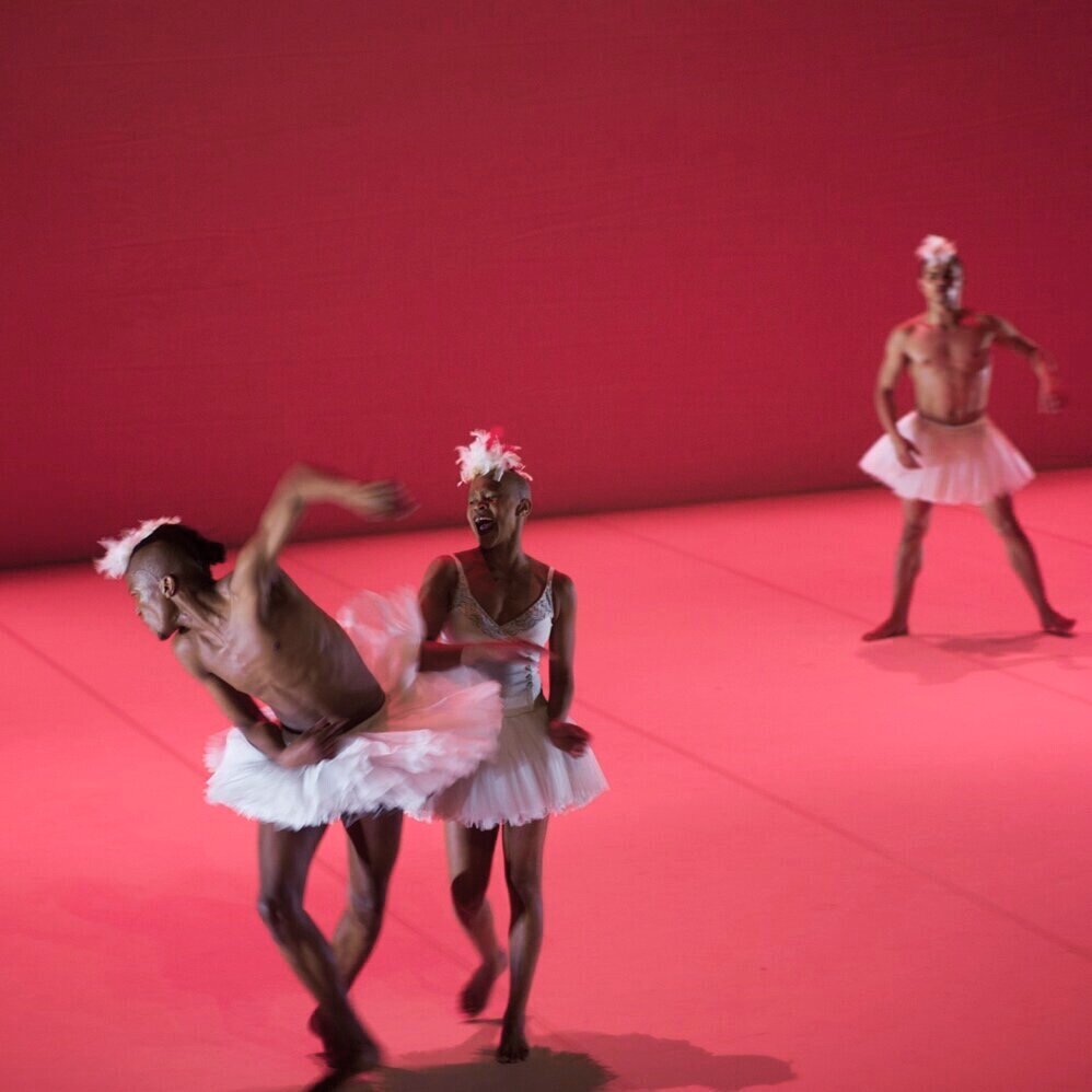 Dada Masilo, Swan Lake, Hamburg 2016