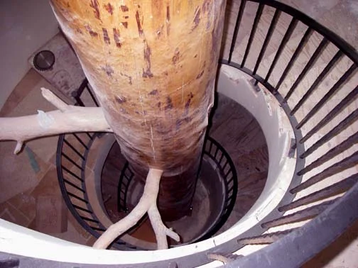 Tree Railing