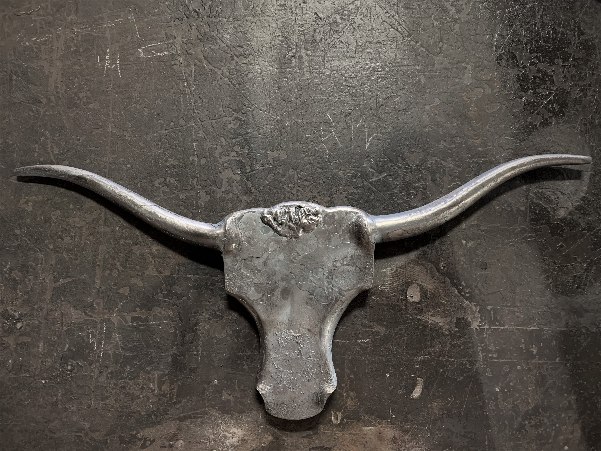 longhorn.jpg
