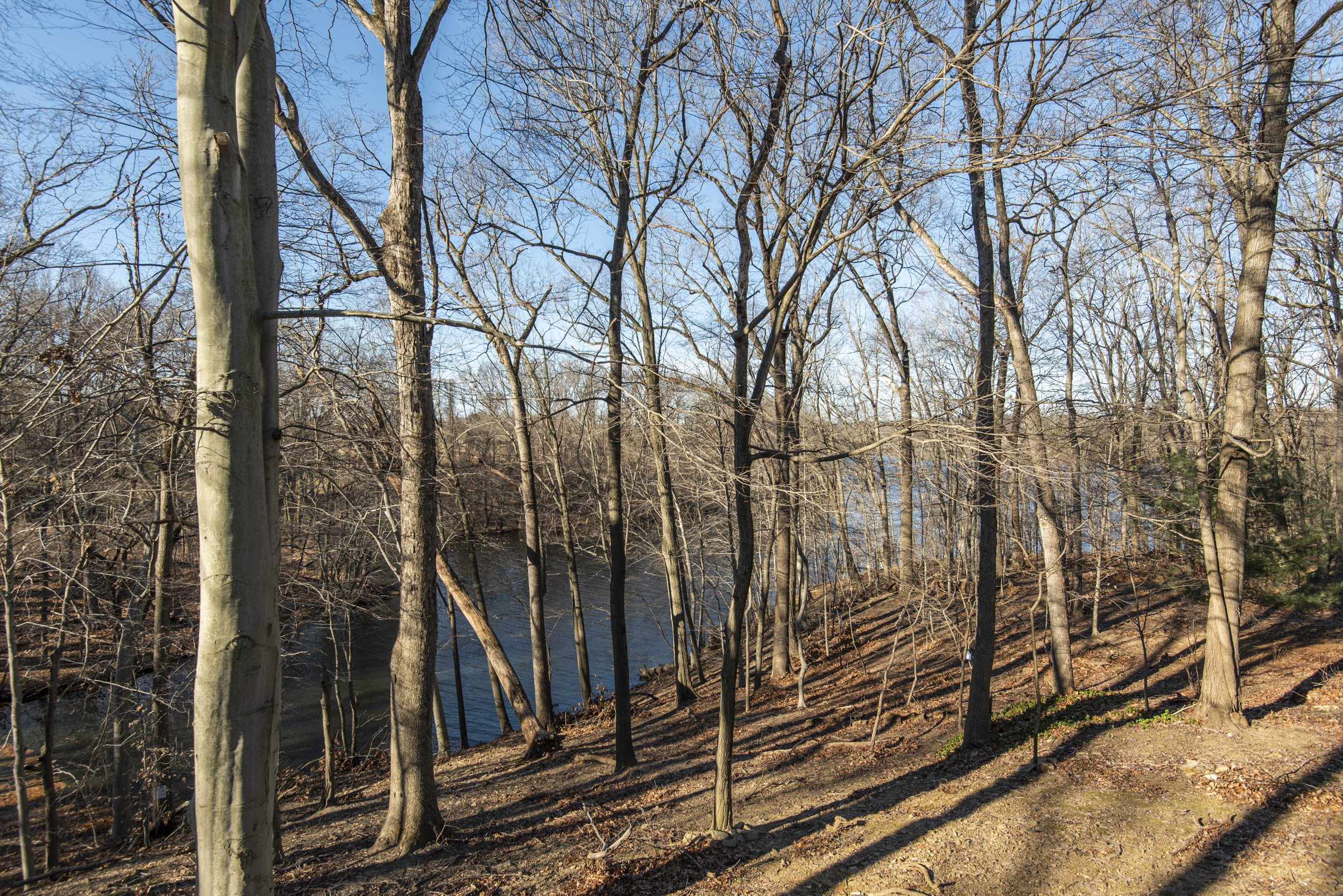 MLS 183 Palmers Mill Rd44.jpg