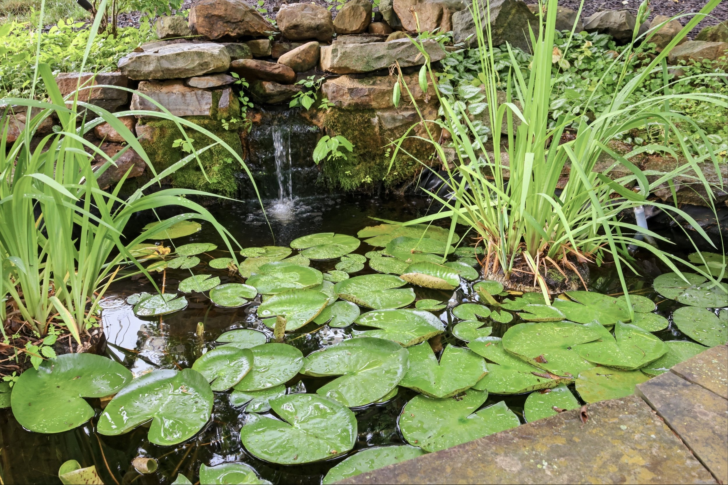 08-2505BlackRiverRoad_13.jpg