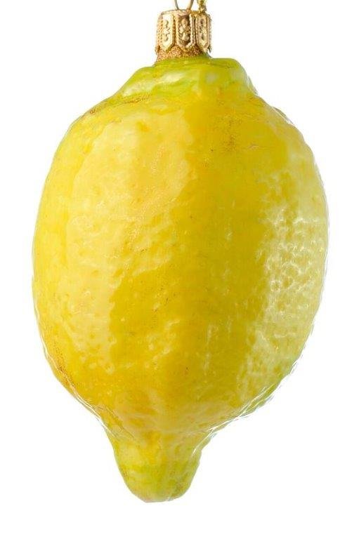lemon no leaf.jpg